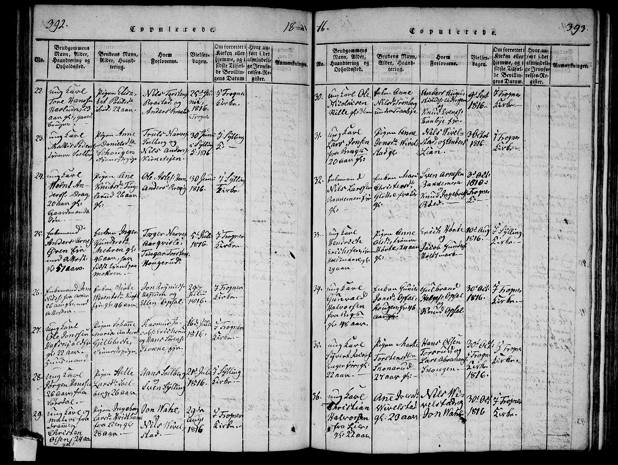 Lier kirkebøker, AV/SAKO-A-230/F/Fa/L0008: Parish register (official) no. I 8, 1813-1825, p. 392-393