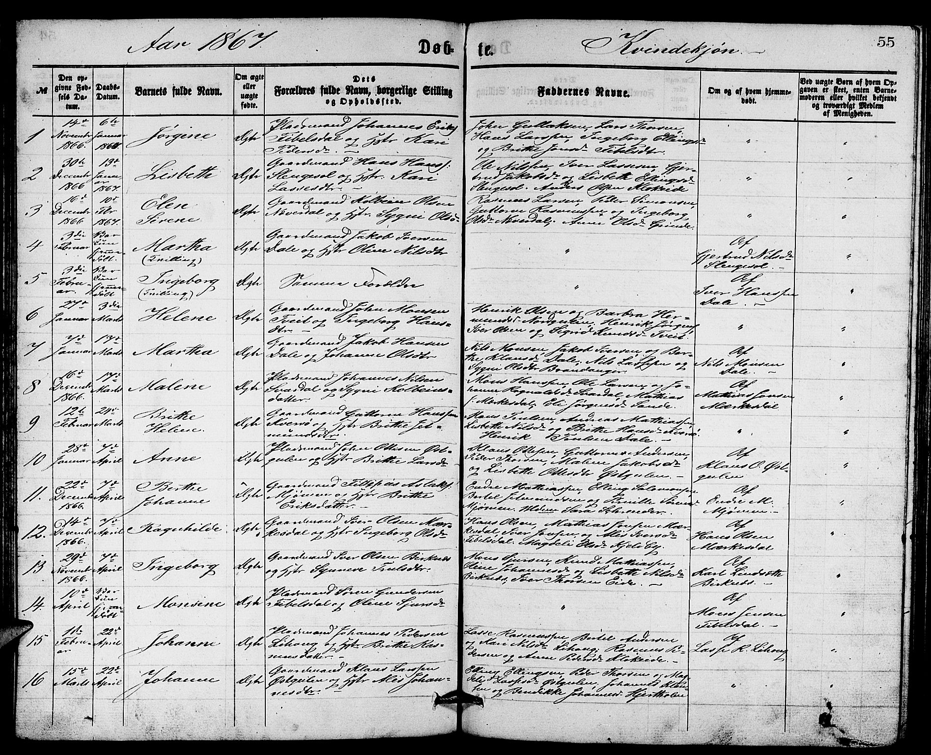 Gulen sokneprestembete, AV/SAB-A-80201/H/Hab/Habb/L0002: Parish register (copy) no. B 2, 1867-1883, p. 55