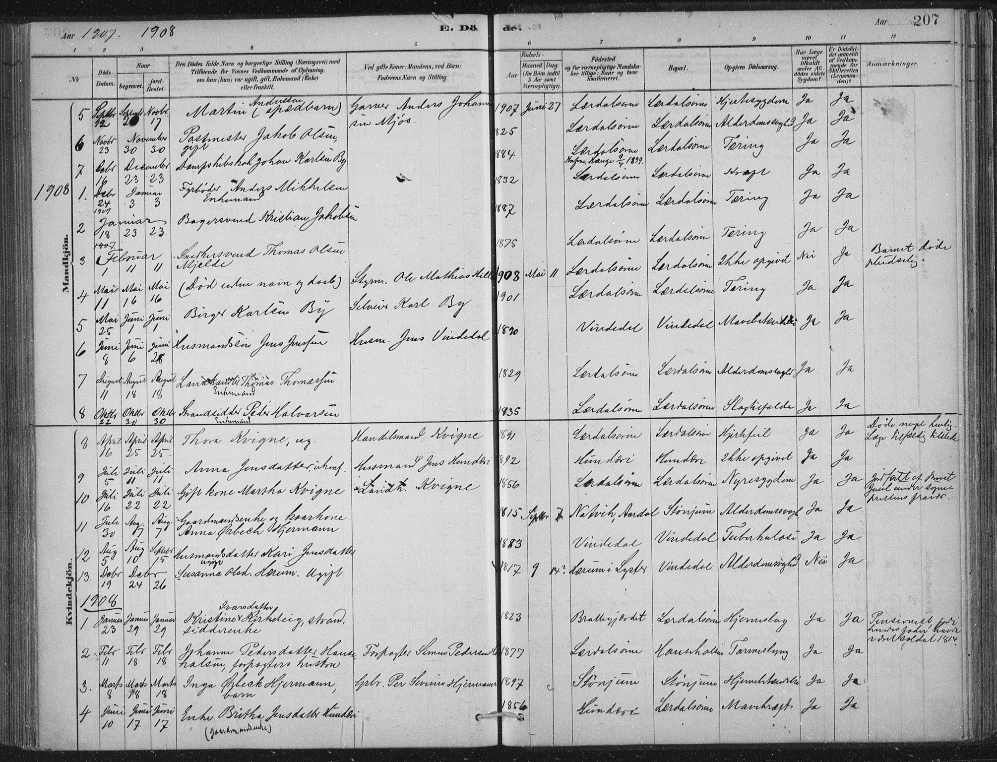 Lærdal sokneprestembete, AV/SAB-A-81201: Parish register (official) no. D  1, 1878-1908, p. 207