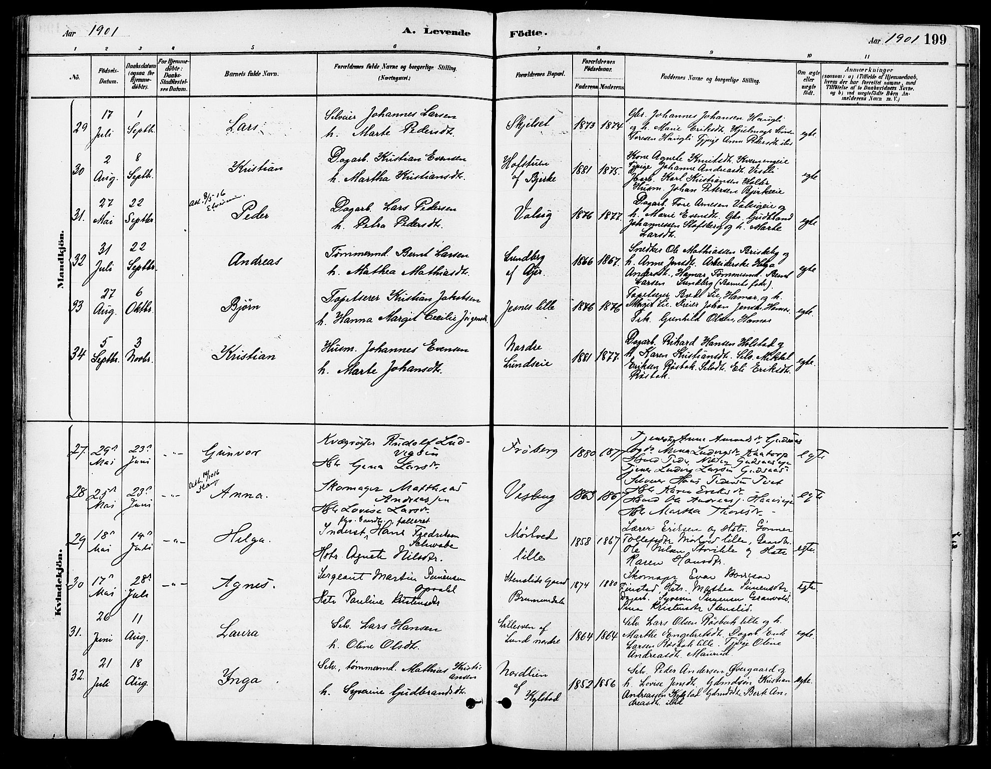 Vang prestekontor, Hedmark, AV/SAH-PREST-008/H/Ha/Haa/L0018A: Parish register (official) no. 18A, 1880-1906, p. 199