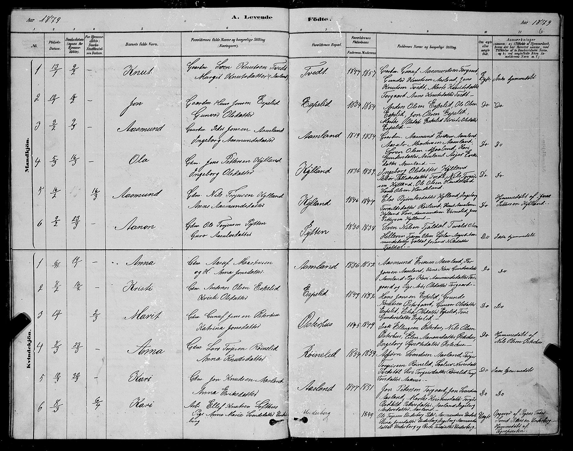 Åseral sokneprestkontor, SAK/1111-0051/F/Fb/L0002: Parish register (copy) no. B 2, 1878-1899, p. 6