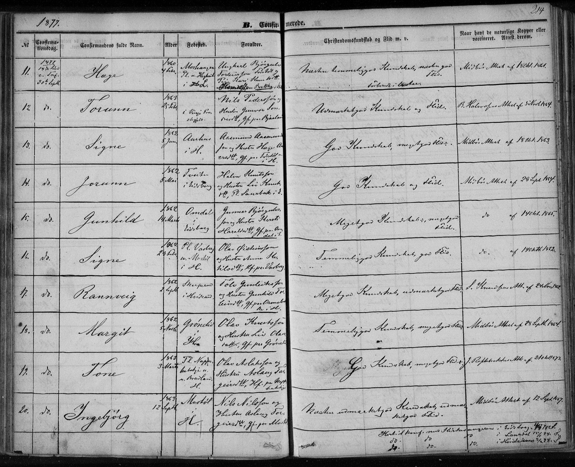 Lårdal kirkebøker, SAKO/A-284/F/Fa/L0006: Parish register (official) no. I 6, 1861-1886, p. 214