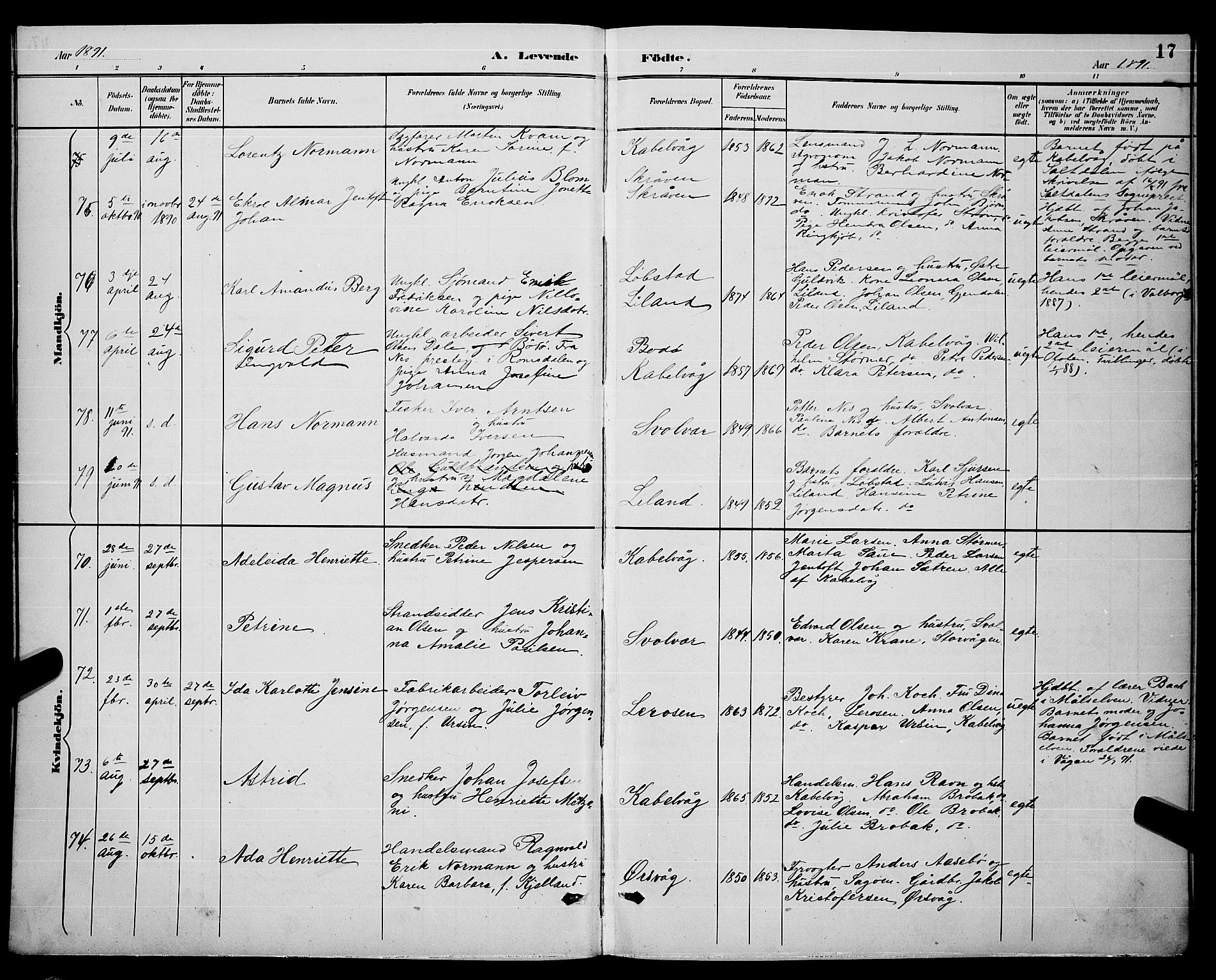 Ministerialprotokoller, klokkerbøker og fødselsregistre - Nordland, AV/SAT-A-1459/874/L1077: Parish register (copy) no. 874C06, 1891-1900, p. 17