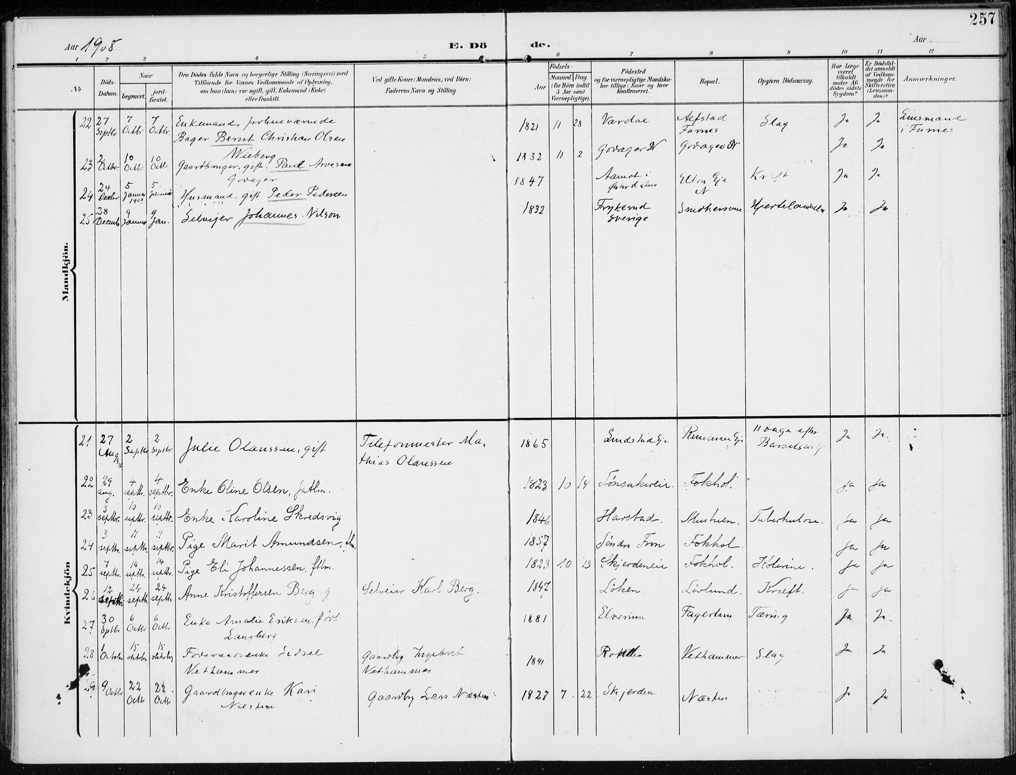 Stange prestekontor, AV/SAH-PREST-002/K/L0024: Parish register (official) no. 24, 1906-1922, p. 257