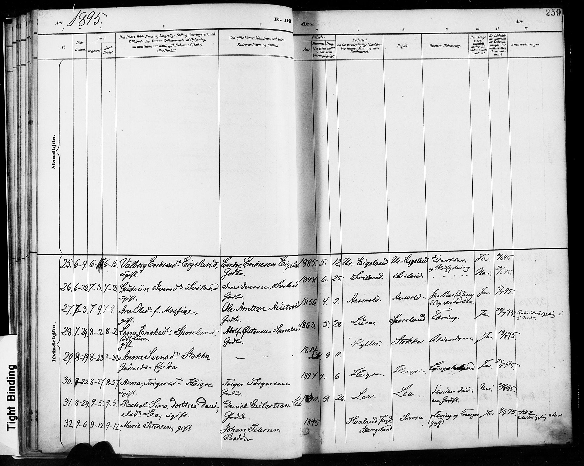 Høyland sokneprestkontor, SAST/A-101799/001/30BA/L0013: Parish register (official) no. A 13.2, 1889-1898, p. 259