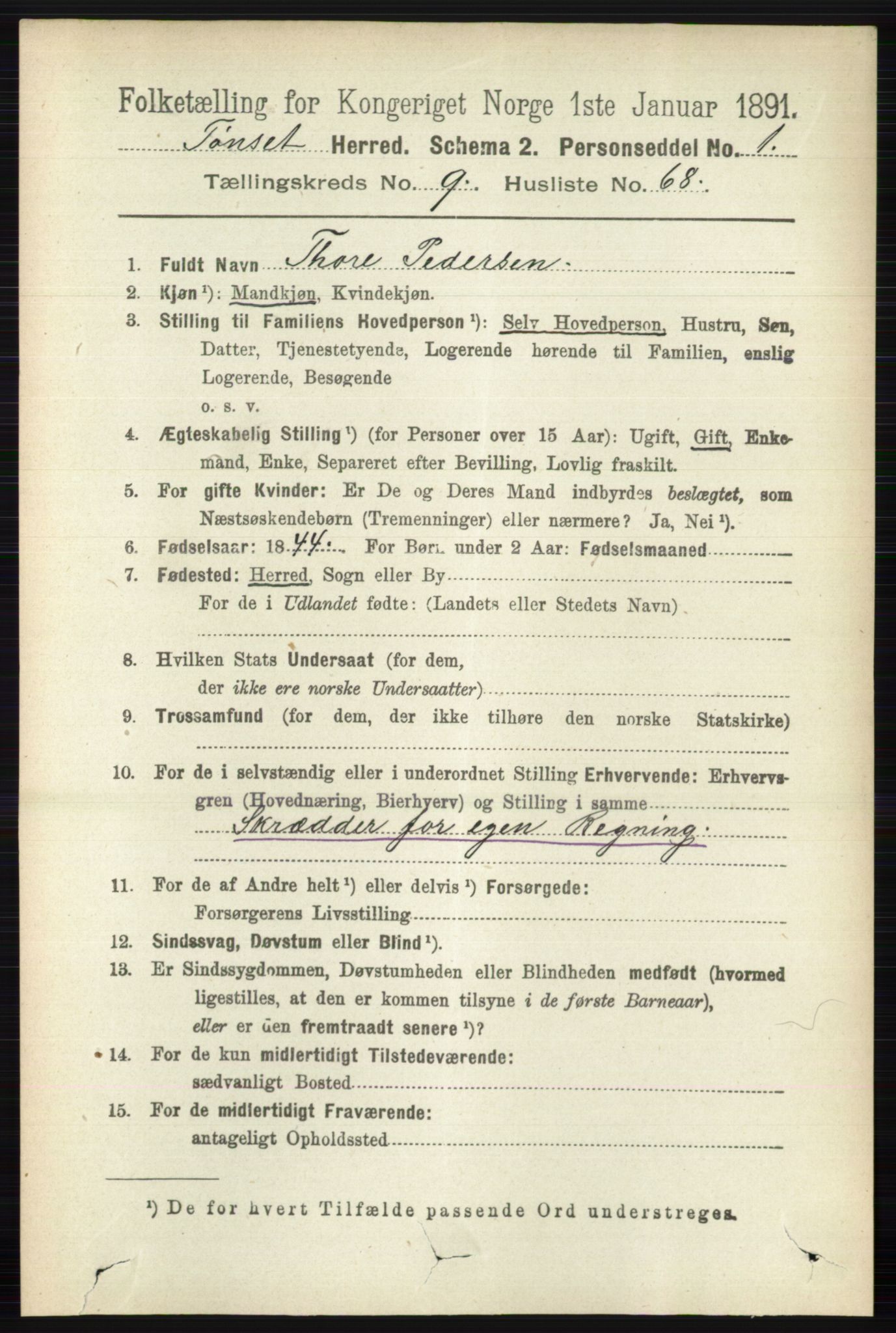 RA, 1891 census for 0437 Tynset, 1891, p. 2801