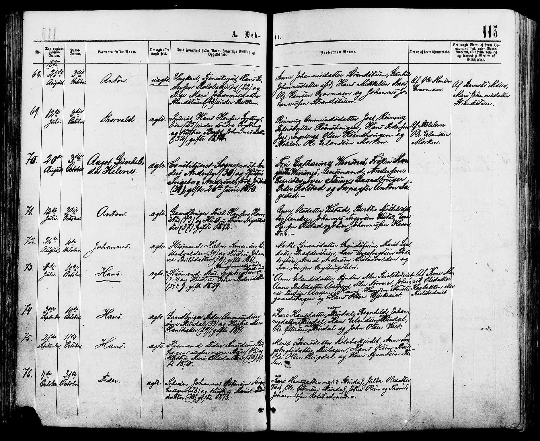 Sør-Fron prestekontor, AV/SAH-PREST-010/H/Ha/Haa/L0002: Parish register (official) no. 2, 1864-1880, p. 113