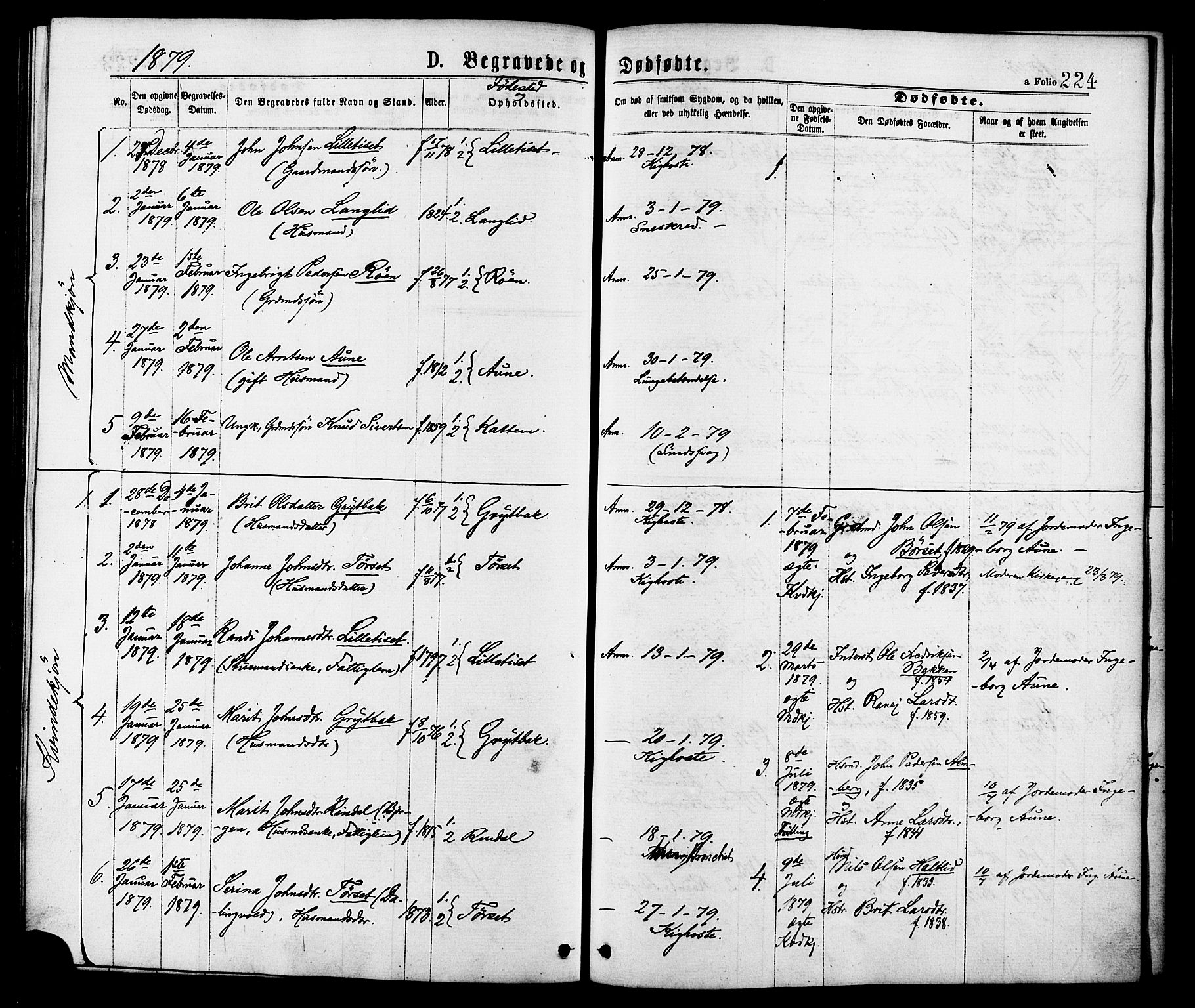 Ministerialprotokoller, klokkerbøker og fødselsregistre - Møre og Romsdal, AV/SAT-A-1454/598/L1068: Parish register (official) no. 598A02, 1872-1881, p. 224