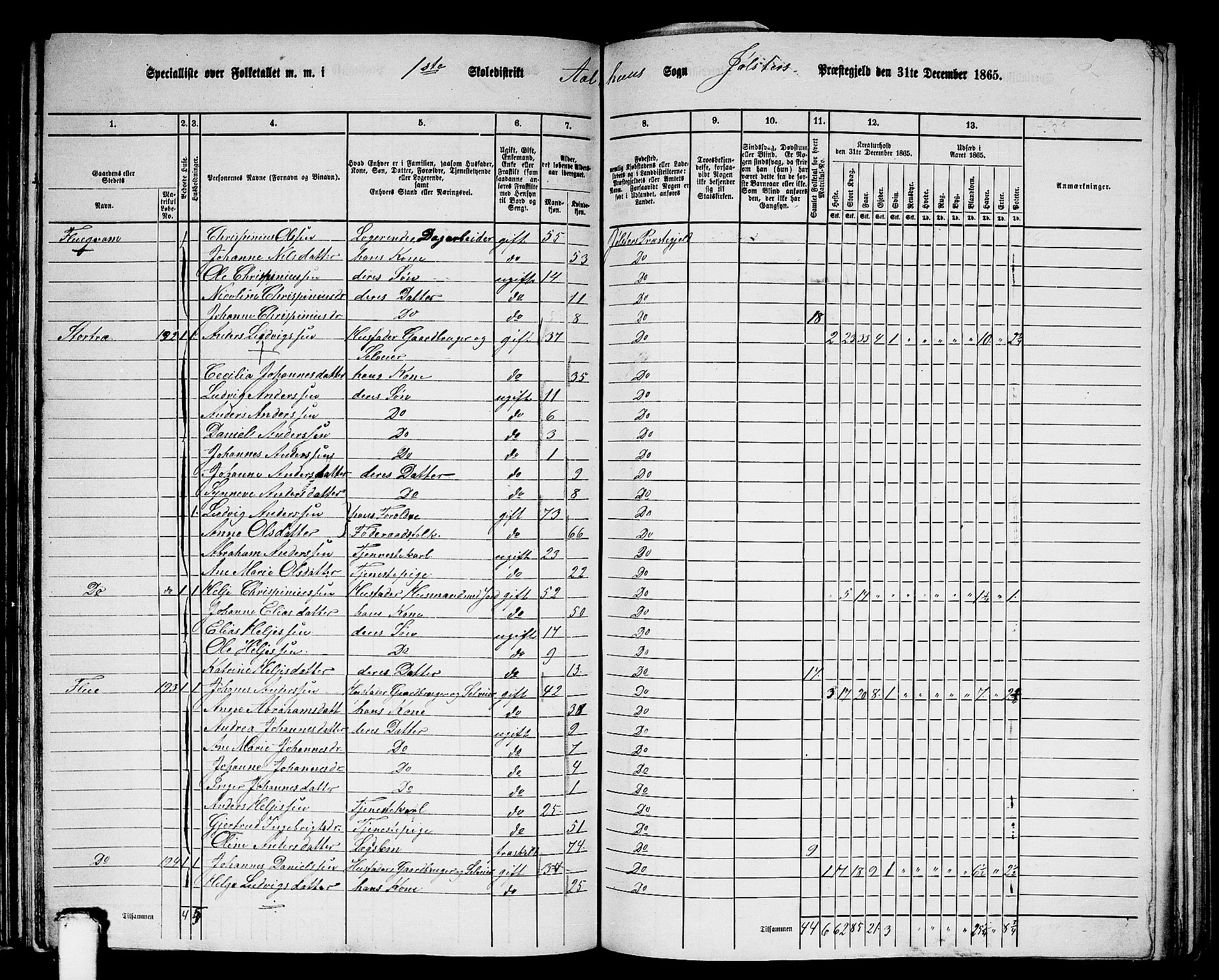 RA, 1865 census for Jølster, 1865, p. 102