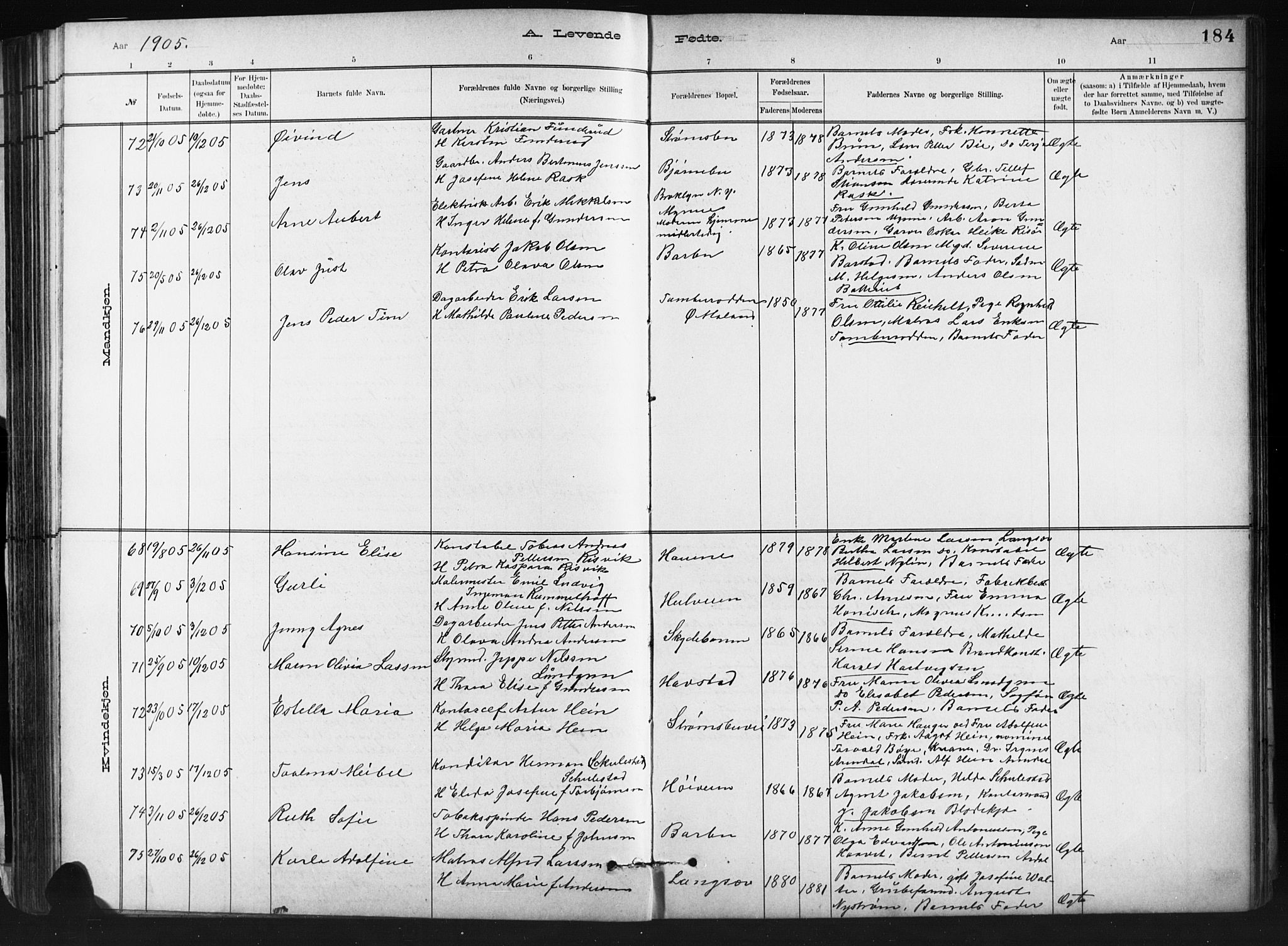 Barbu sokneprestkontor, AV/SAK-1111-0003/F/Fb/L0002: Parish register (copy) no. B 2, 1890-1922, p. 184