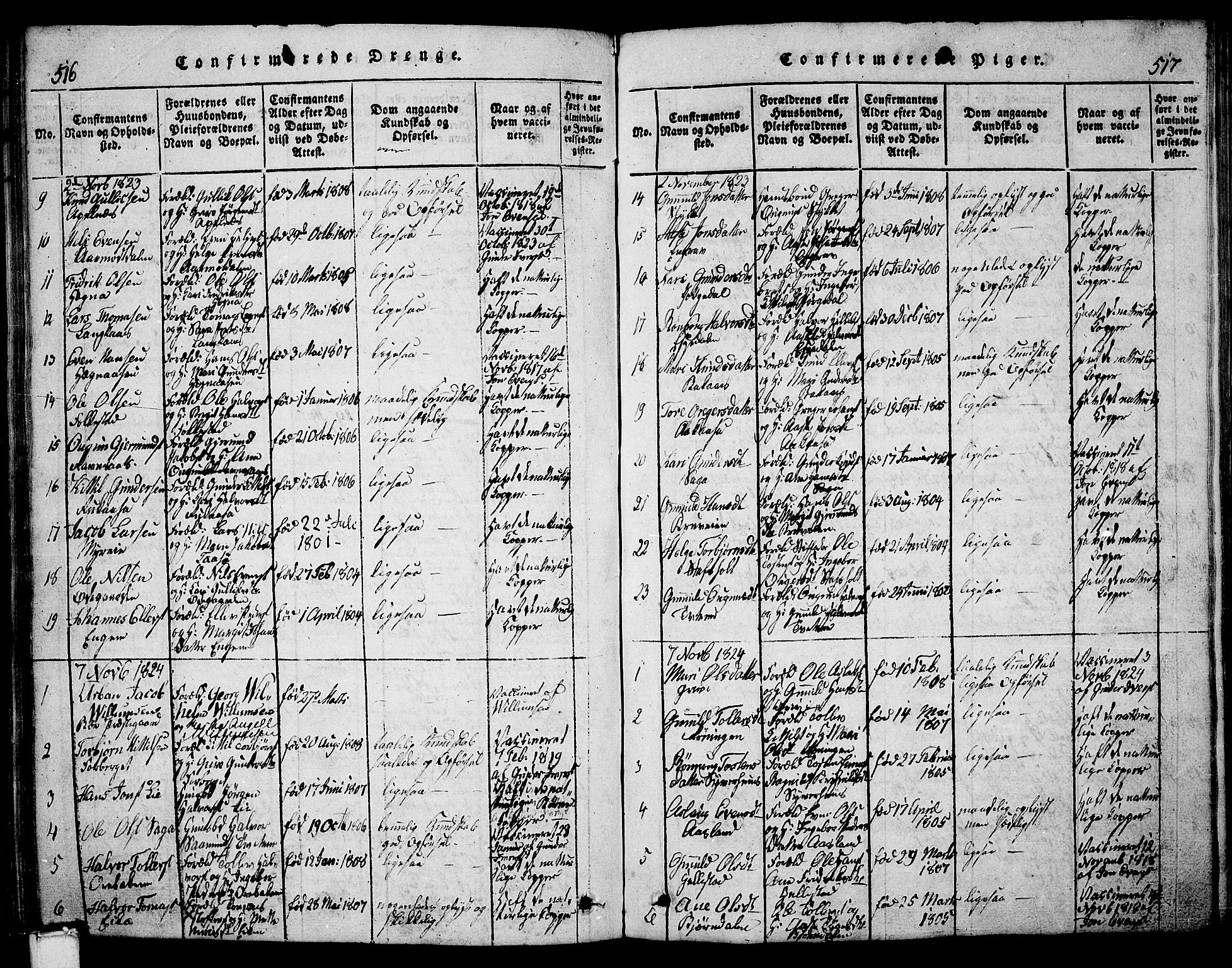 Bø kirkebøker, SAKO/A-257/G/Ga/L0001: Parish register (copy) no. 1, 1815-1831, p. 516-517
