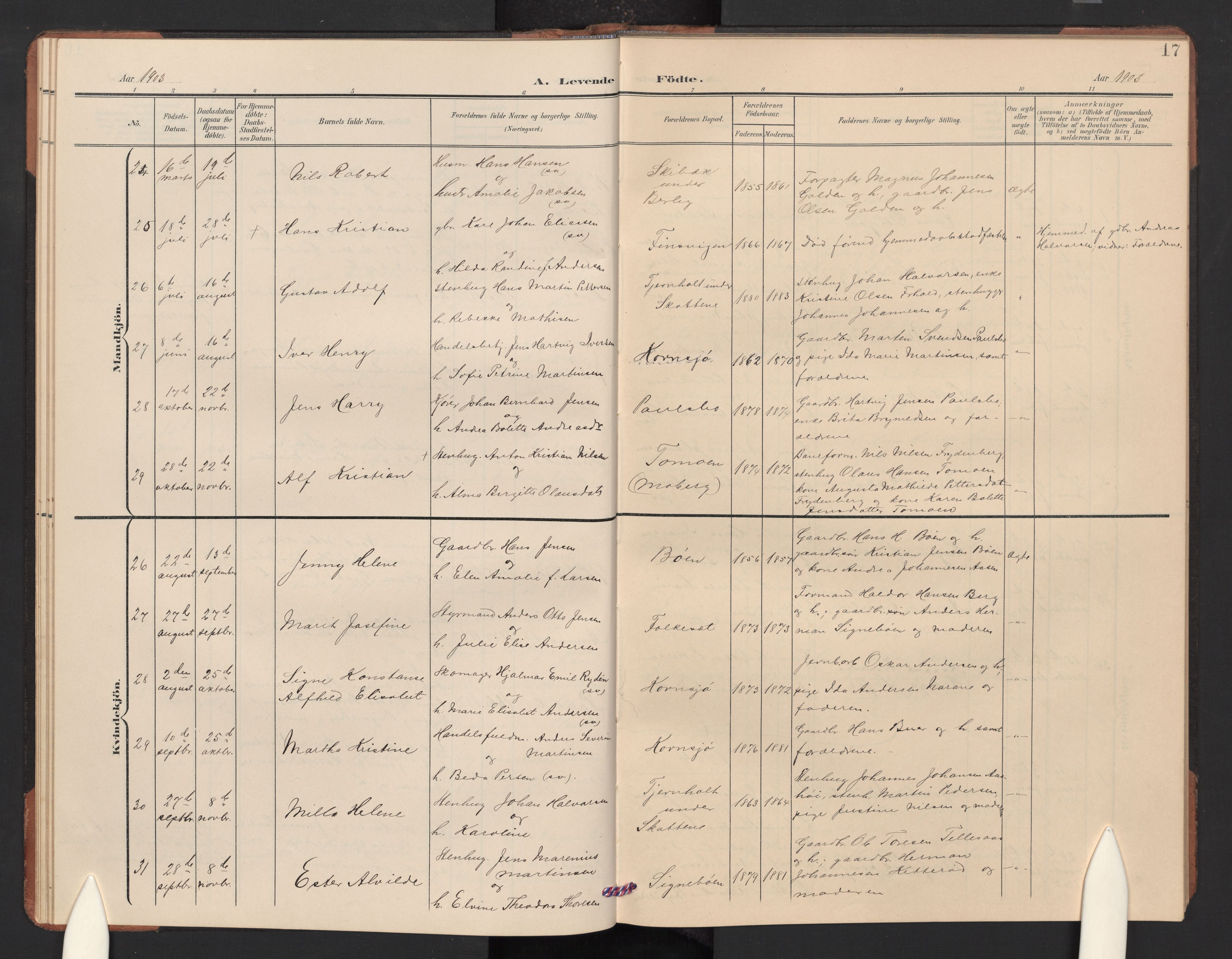 Idd prestekontor Kirkebøker, SAO/A-10911/G/Gc/L0001: Parish register (copy) no. III 1, 1901-1910, p. 17