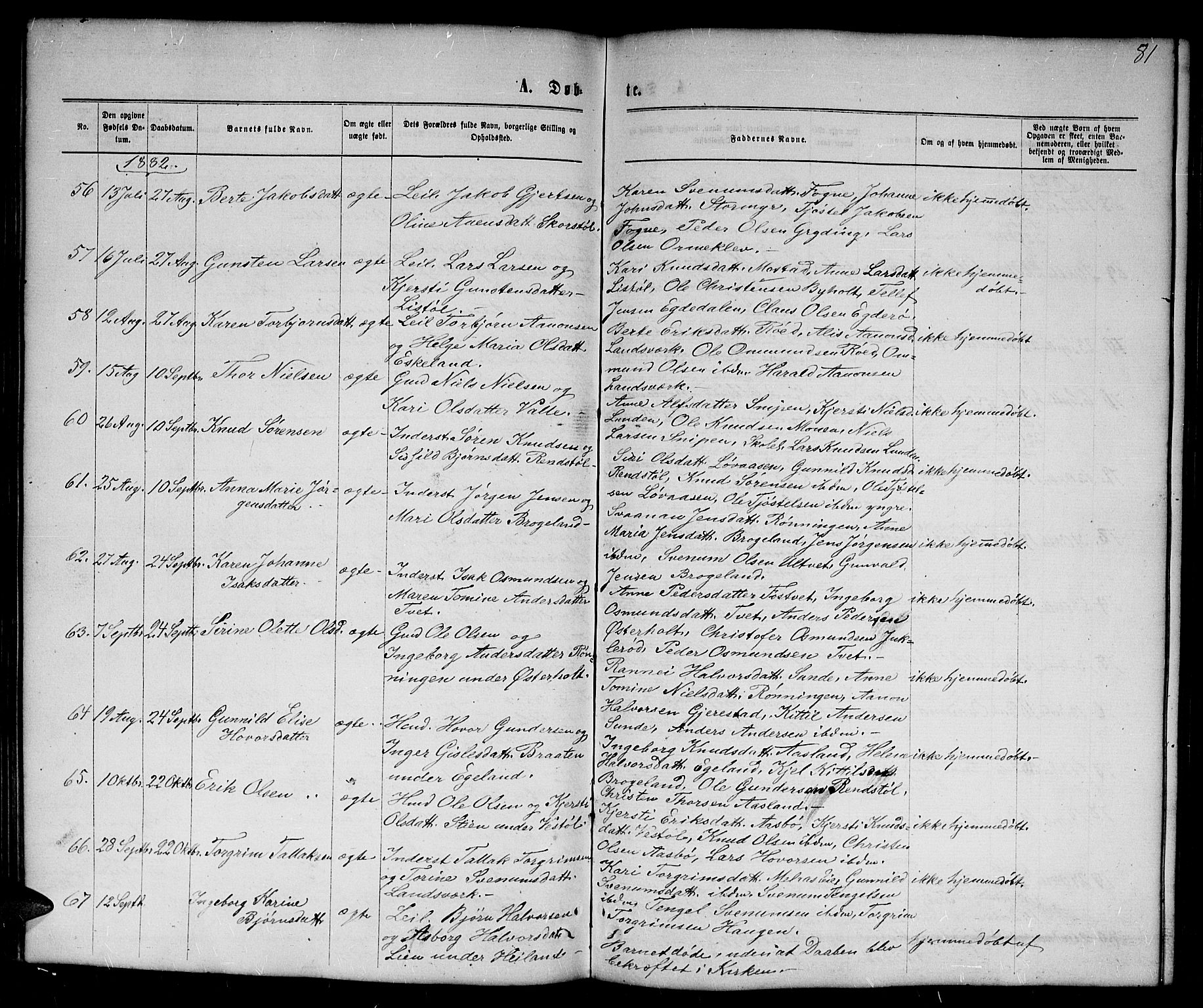 Gjerstad sokneprestkontor, AV/SAK-1111-0014/F/Fb/Fba/L0006: Parish register (copy) no. B 6, 1868-1890, p. 81