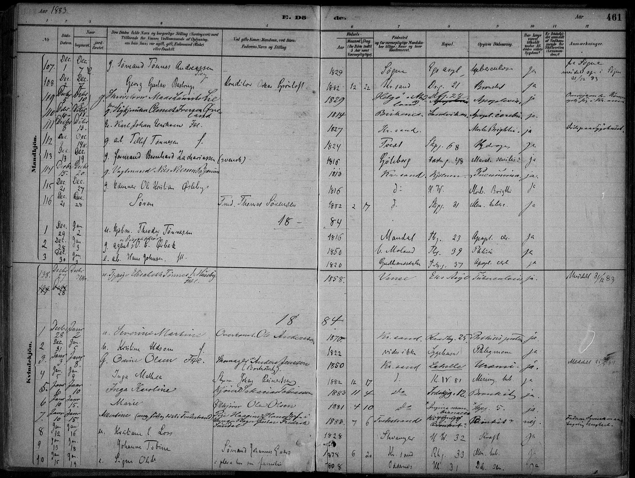 Kristiansand domprosti, AV/SAK-1112-0006/F/Fa/L0017: Parish register (official) no. A 16B, 1880-1890, p. 461