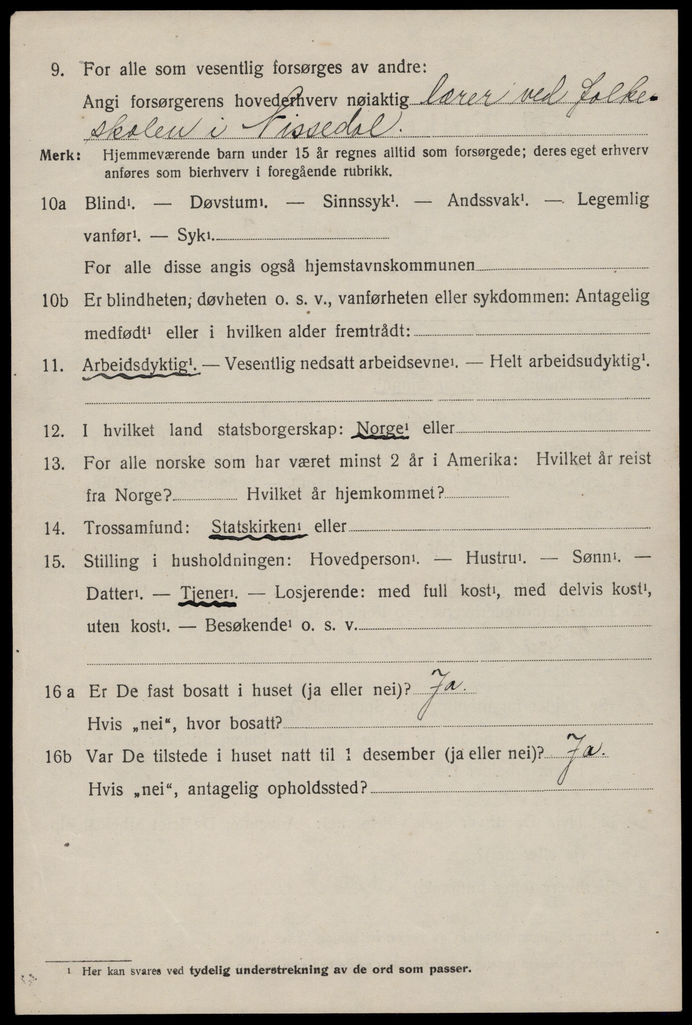 SAKO, 1920 census for Nissedal, 1920, p. 1508