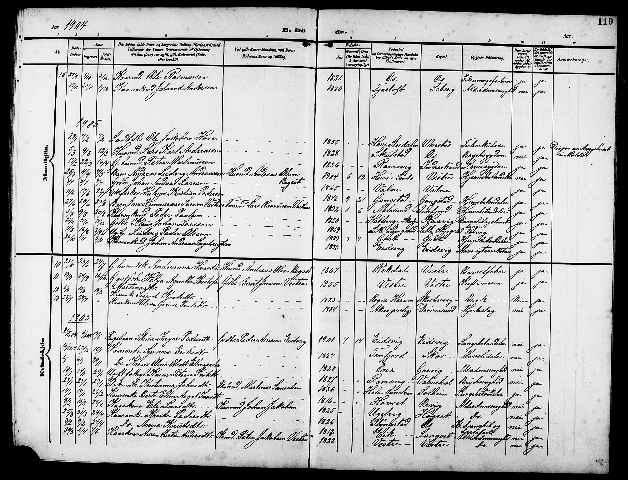 Ministerialprotokoller, klokkerbøker og fødselsregistre - Møre og Romsdal, AV/SAT-A-1454/525/L0377: Parish register (copy) no. 525C03, 1903-1917, p. 119