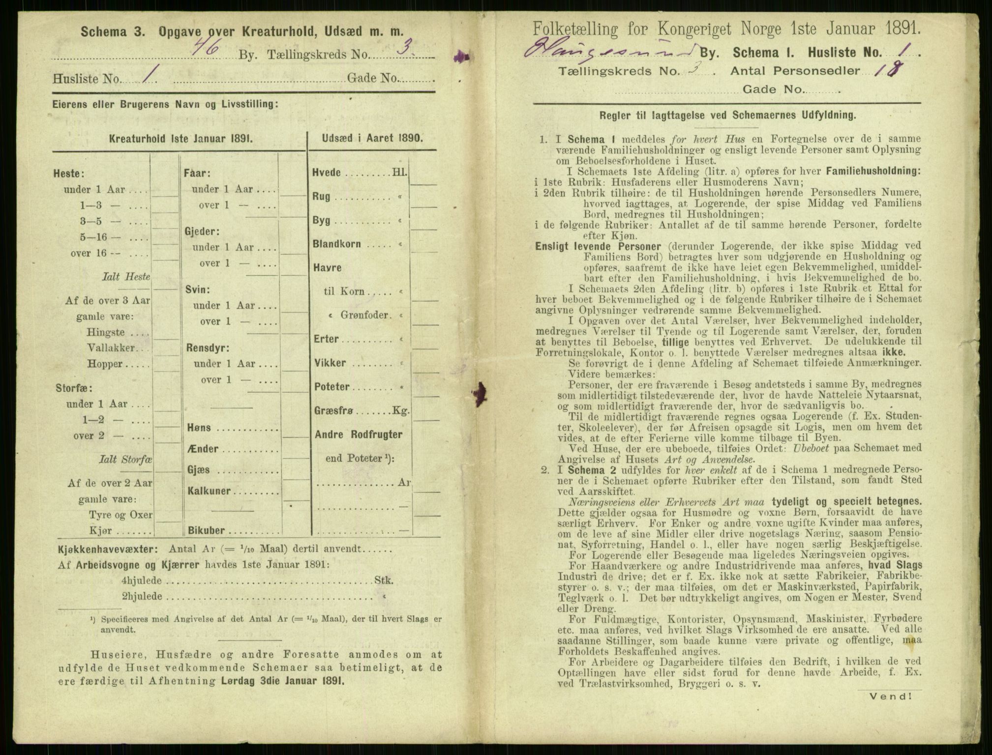 RA, 1891 census for 1106 Haugesund, 1891, p. 149