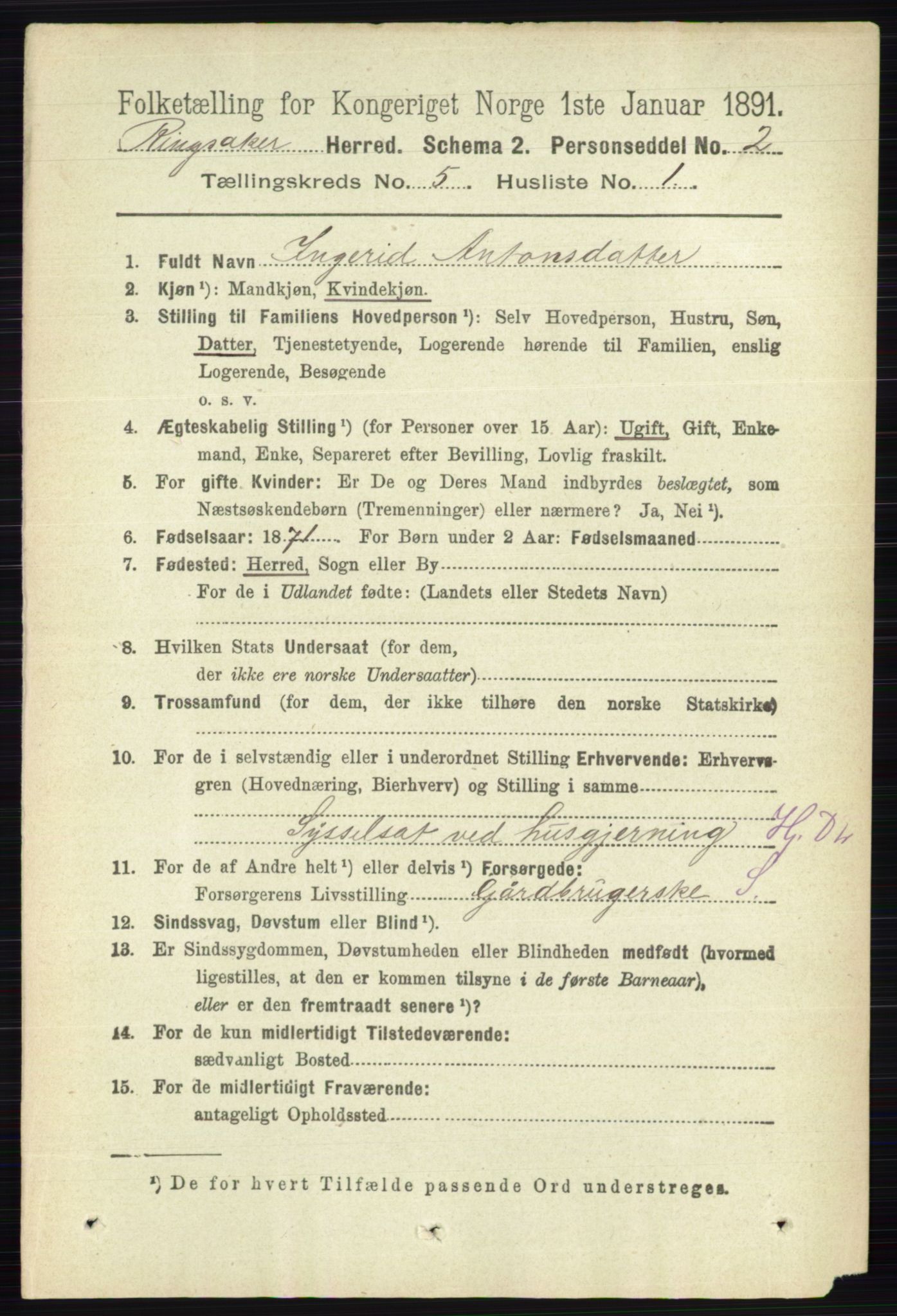RA, 1891 census for 0412 Ringsaker, 1891, p. 2420