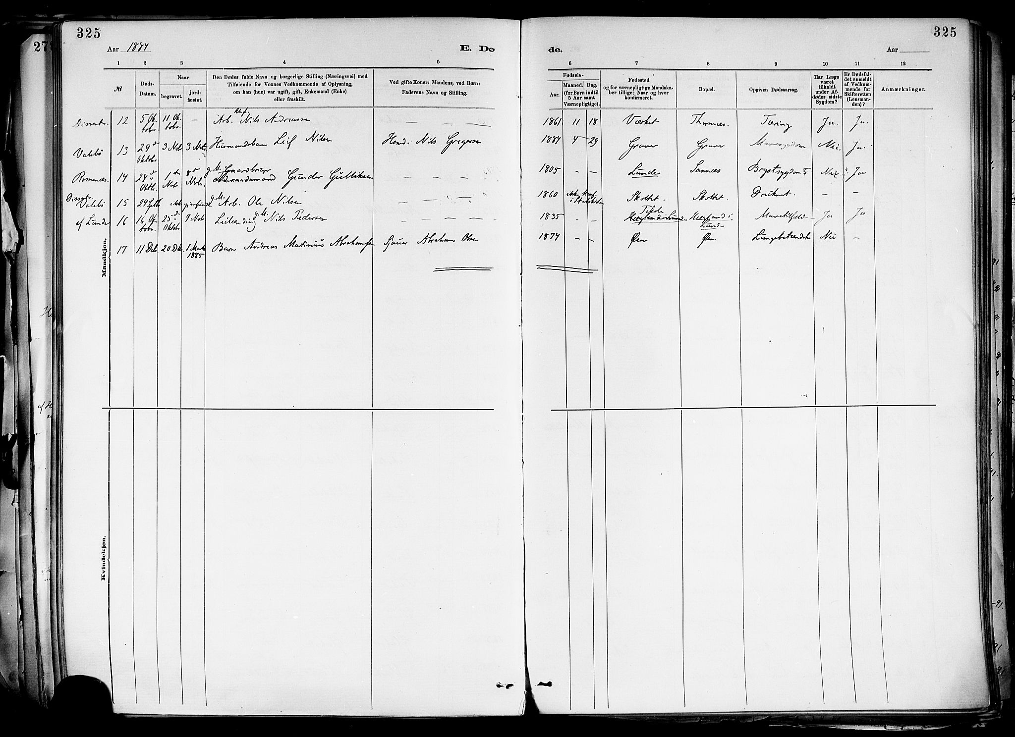 Holla kirkebøker, AV/SAKO-A-272/F/Fa/L0008: Parish register (official) no. 8, 1882-1897, p. 325