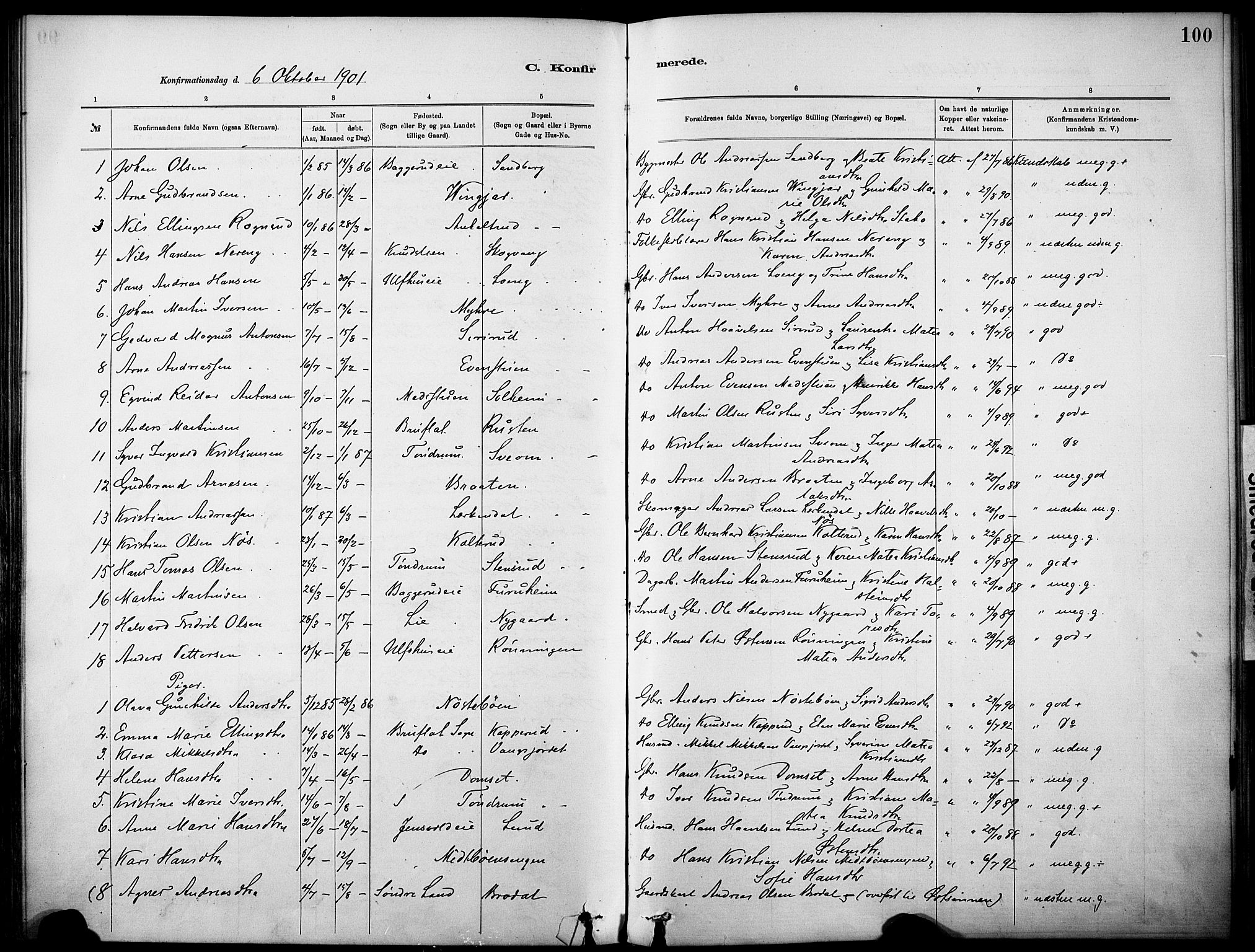 Nordre Land prestekontor, SAH/PREST-124/H/Ha/Haa/L0005: Parish register (official) no. 5, 1882-1903, p. 100