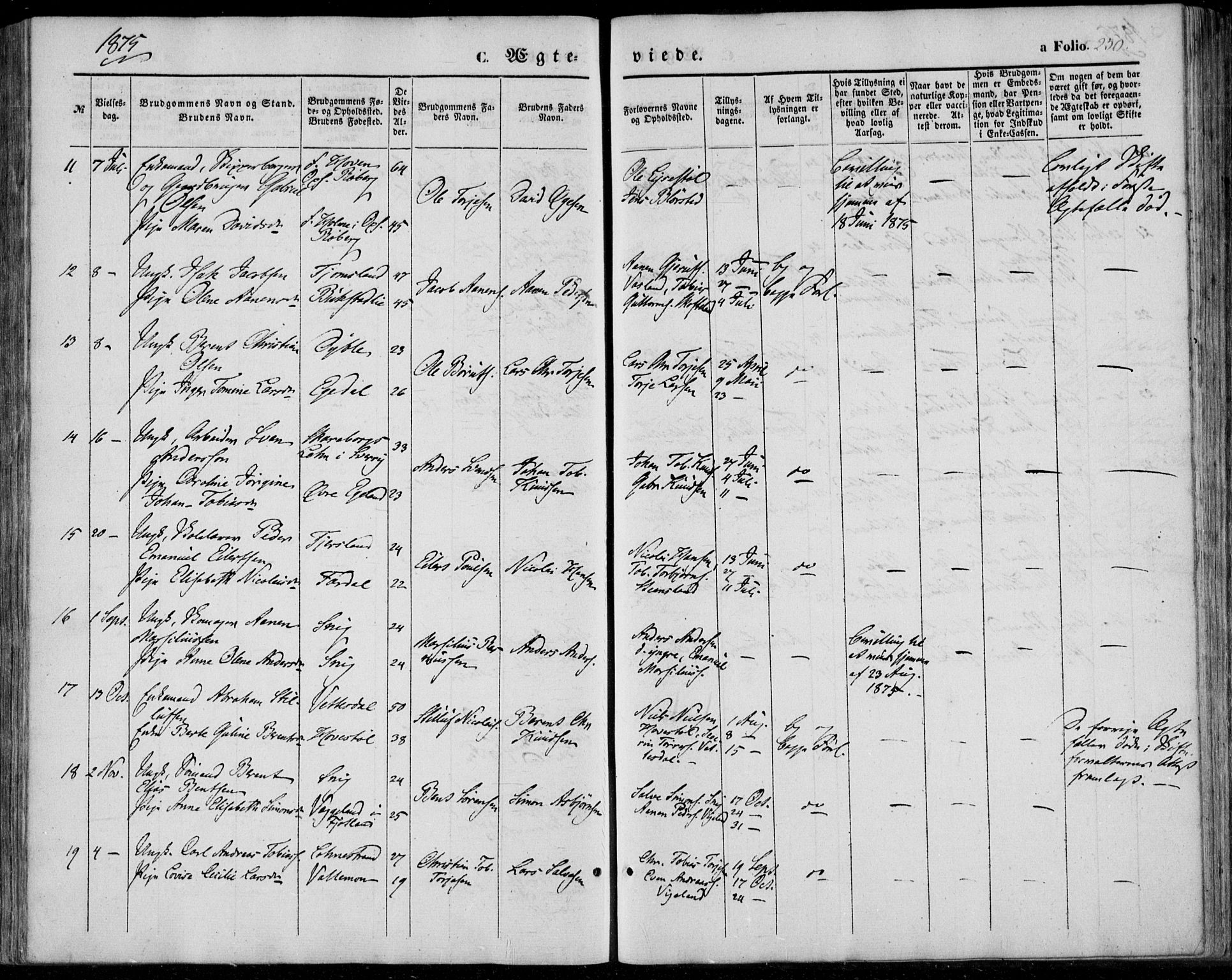 Sør-Audnedal sokneprestkontor, AV/SAK-1111-0039/F/Fa/Fab/L0007: Parish register (official) no. A 7, 1855-1876, p. 250