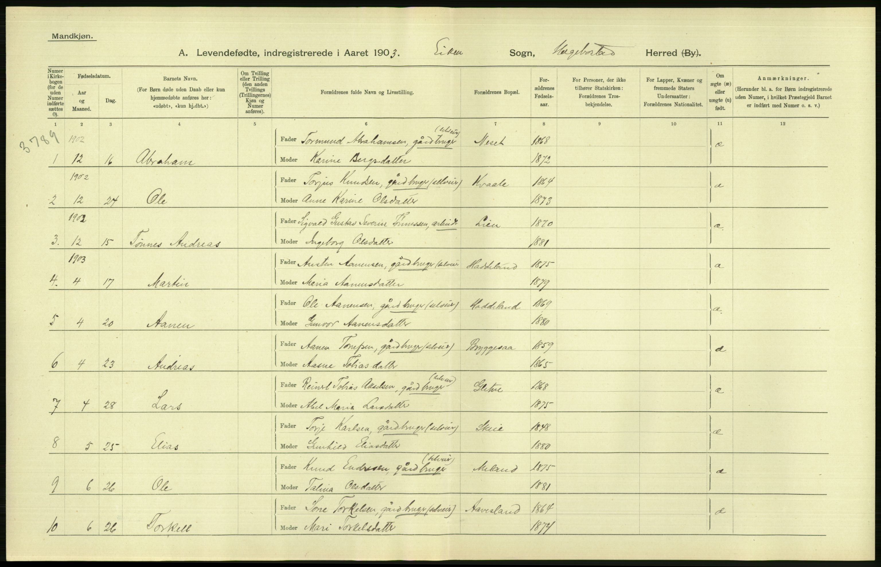 Statistisk sentralbyrå, Sosiodemografiske emner, Befolkning, AV/RA-S-2228/D/Df/Dfa/Dfaa/L0011: Lister og Mandal amt: Fødte, gifte, døde, 1903, p. 56