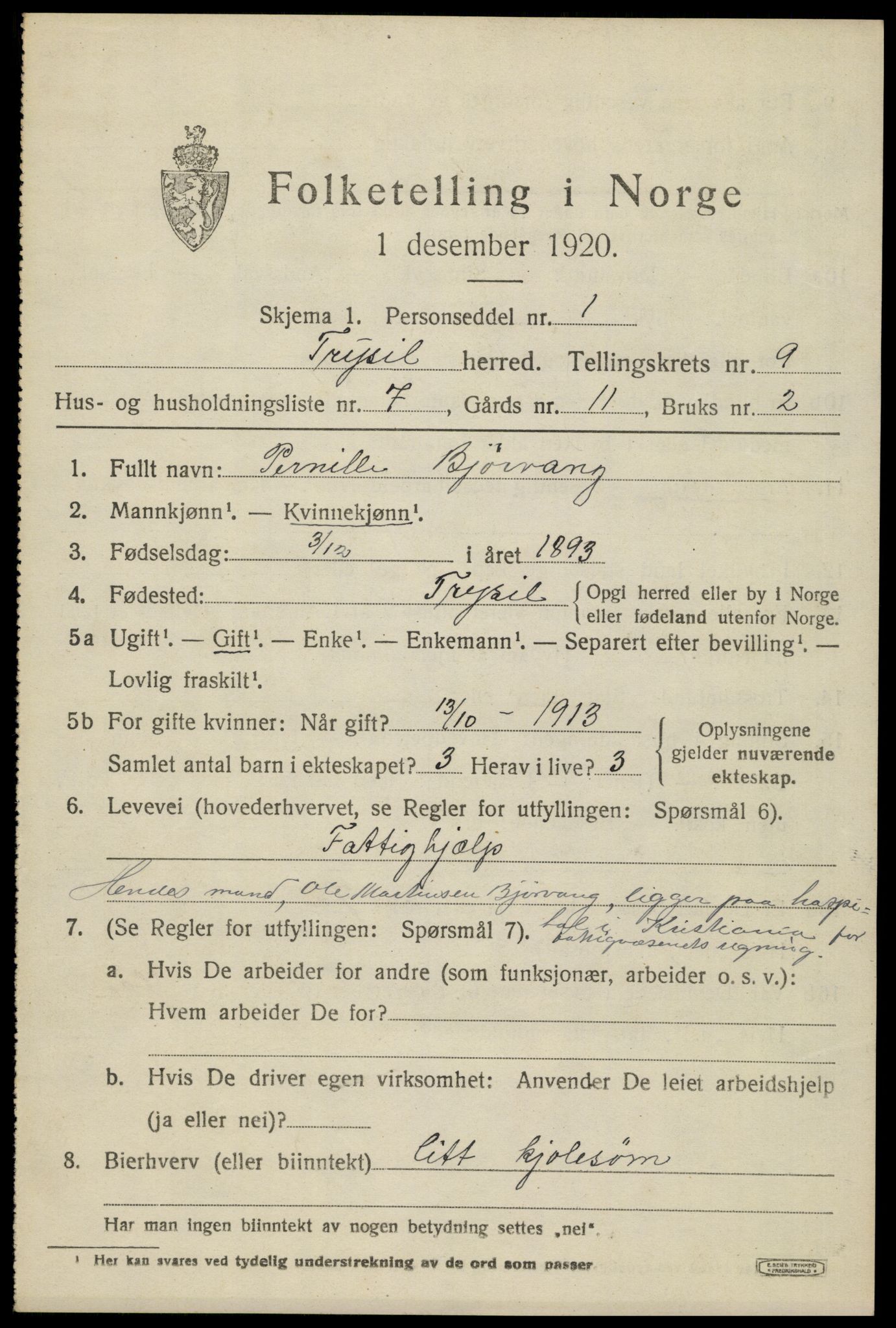 SAH, 1920 census for Trysil, 1920, p. 6623