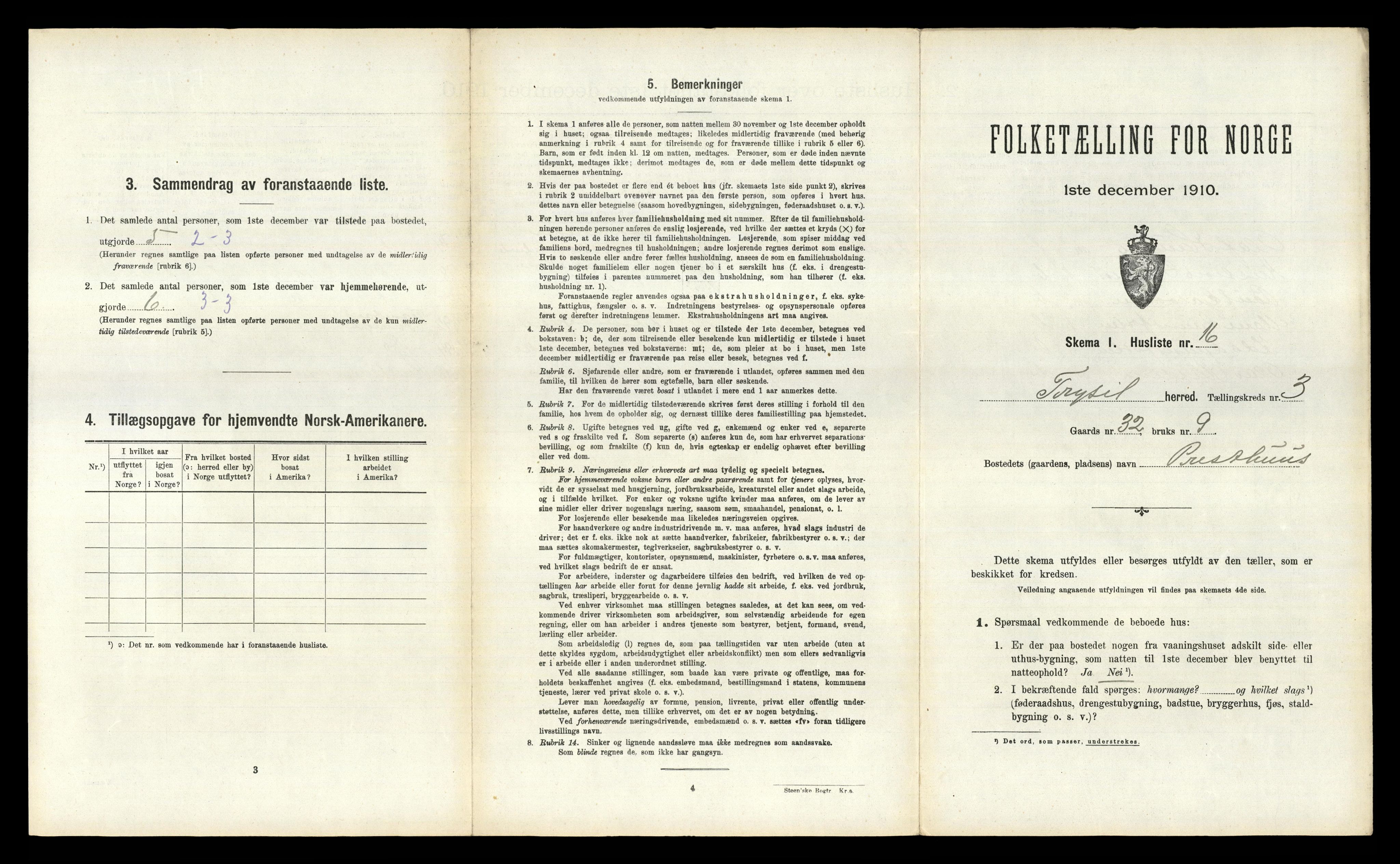 RA, 1910 census for Trysil, 1910, p. 343