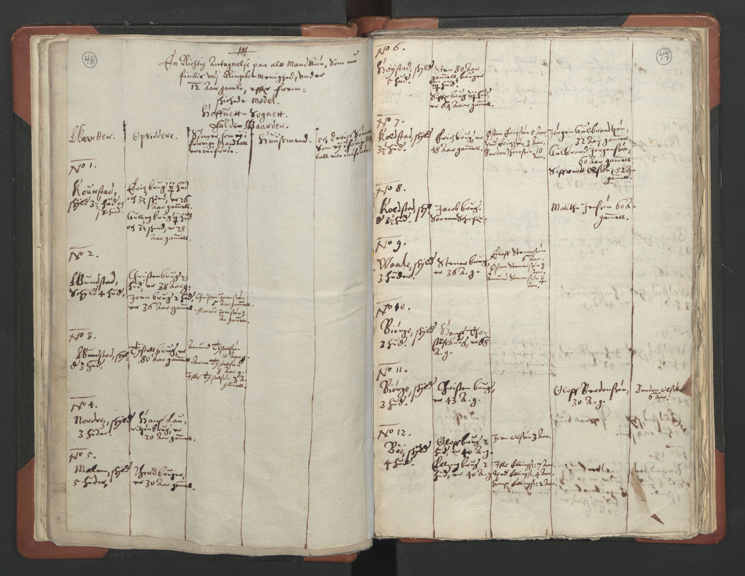 RA, Vicar's Census 1664-1666, no. 6: Gudbrandsdal deanery, 1664-1666, p. 46-47