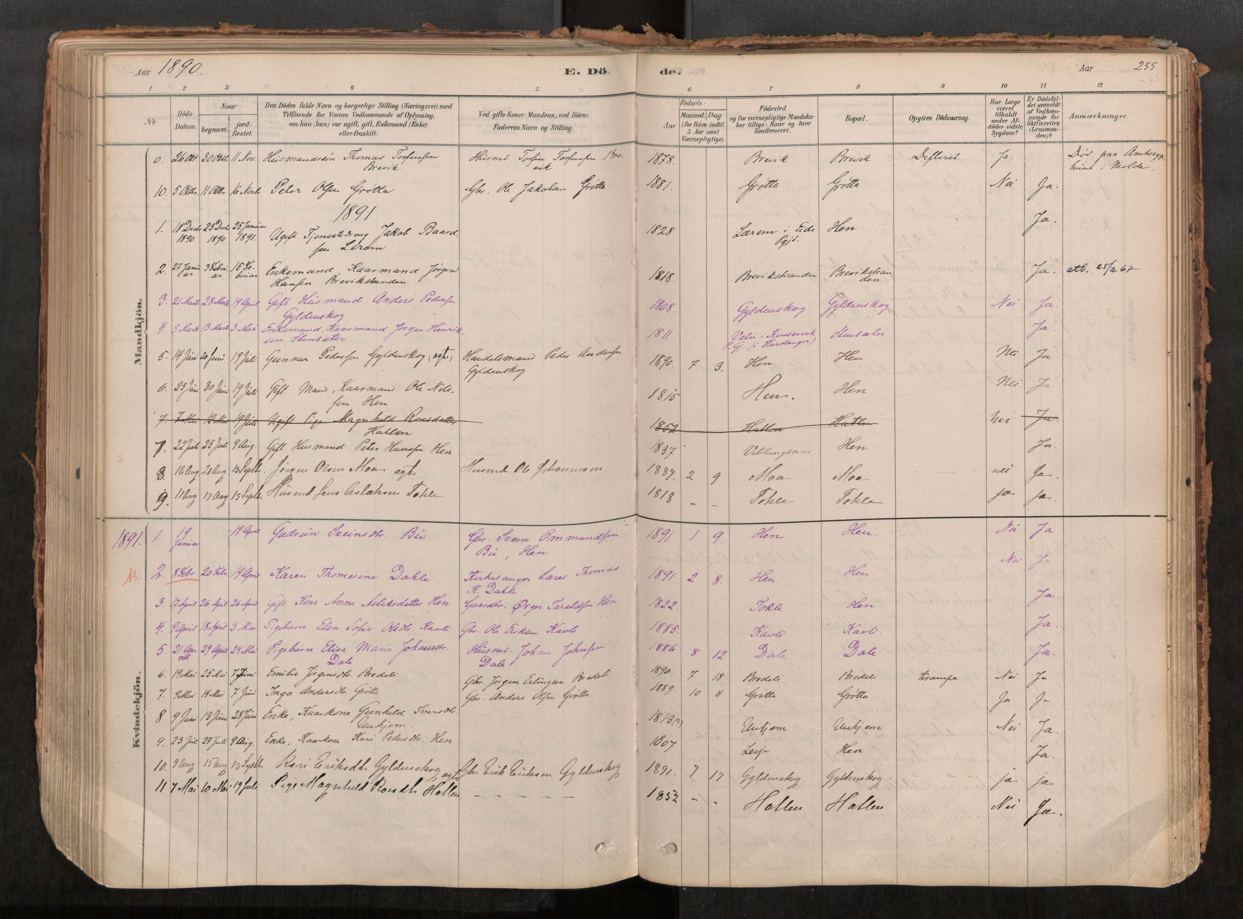 Ministerialprotokoller, klokkerbøker og fødselsregistre - Møre og Romsdal, AV/SAT-A-1454/545/L0594: Parish register (official) no. 545A03, 1878-1920, p. 255