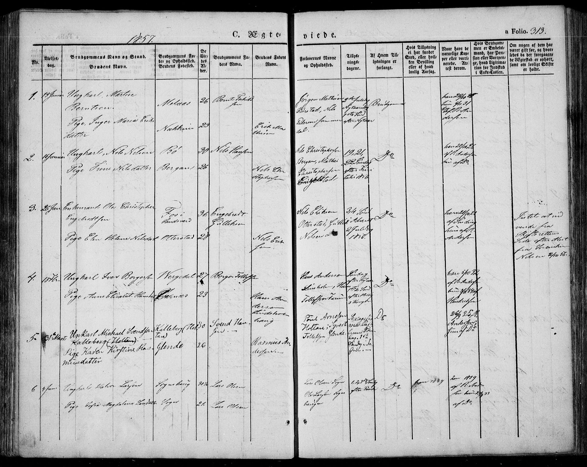 Lardal kirkebøker, SAKO/A-350/F/Fa/L0006: Parish register (official) no. I 6, 1835-1860, p. 313