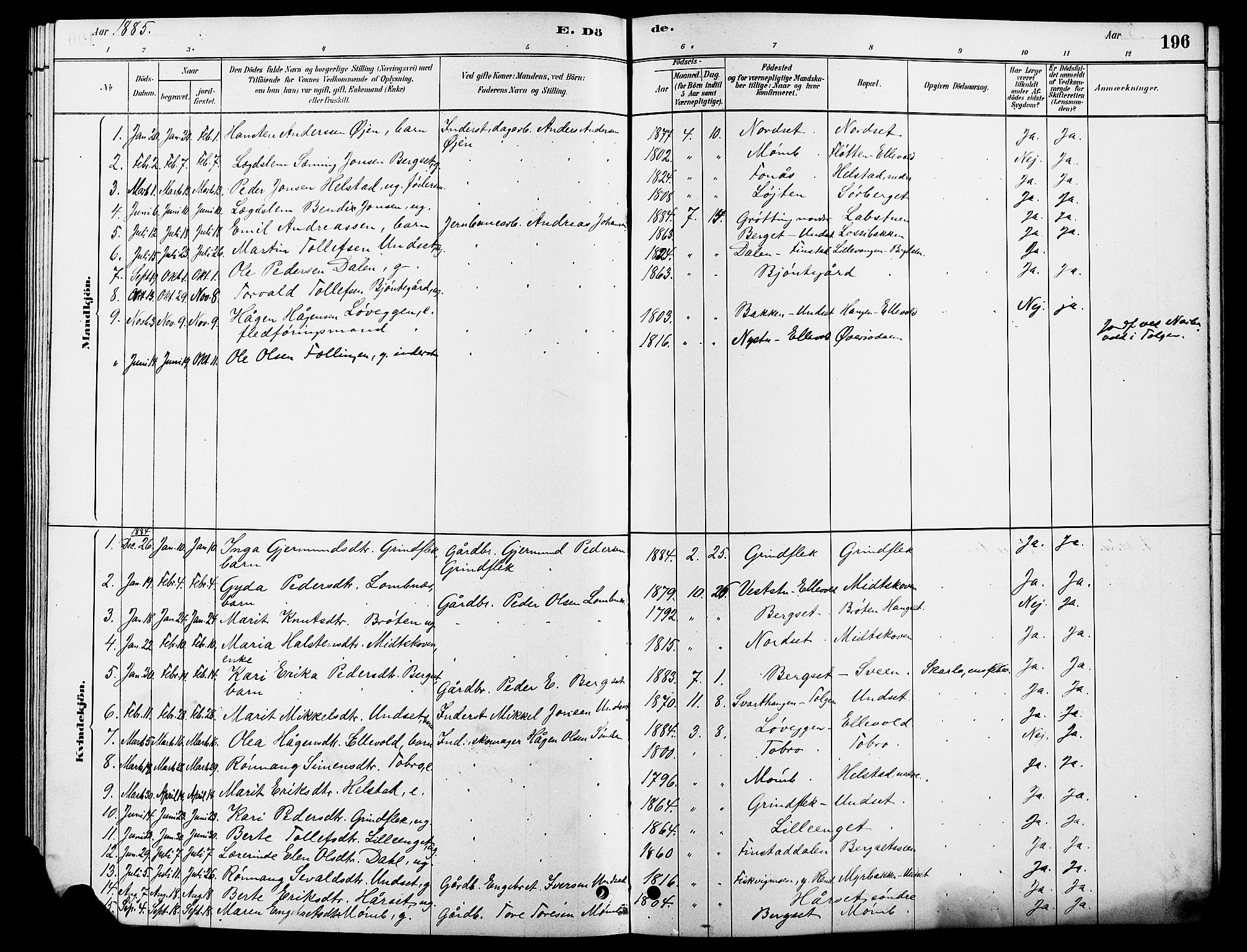 Rendalen prestekontor, SAH/PREST-054/H/Ha/Hab/L0003: Parish register (copy) no. 3, 1879-1904, p. 196