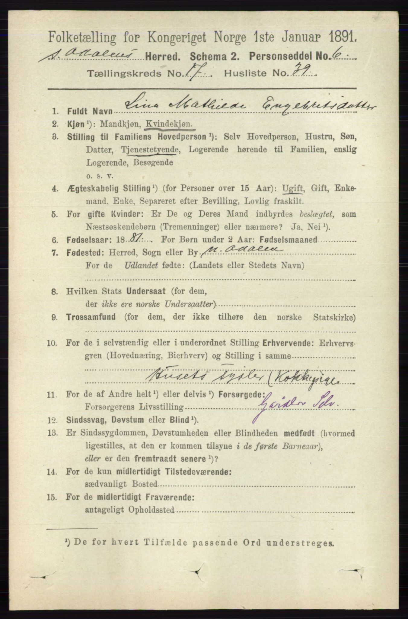 RA, 1891 census for 0419 Sør-Odal, 1891, p. 8100