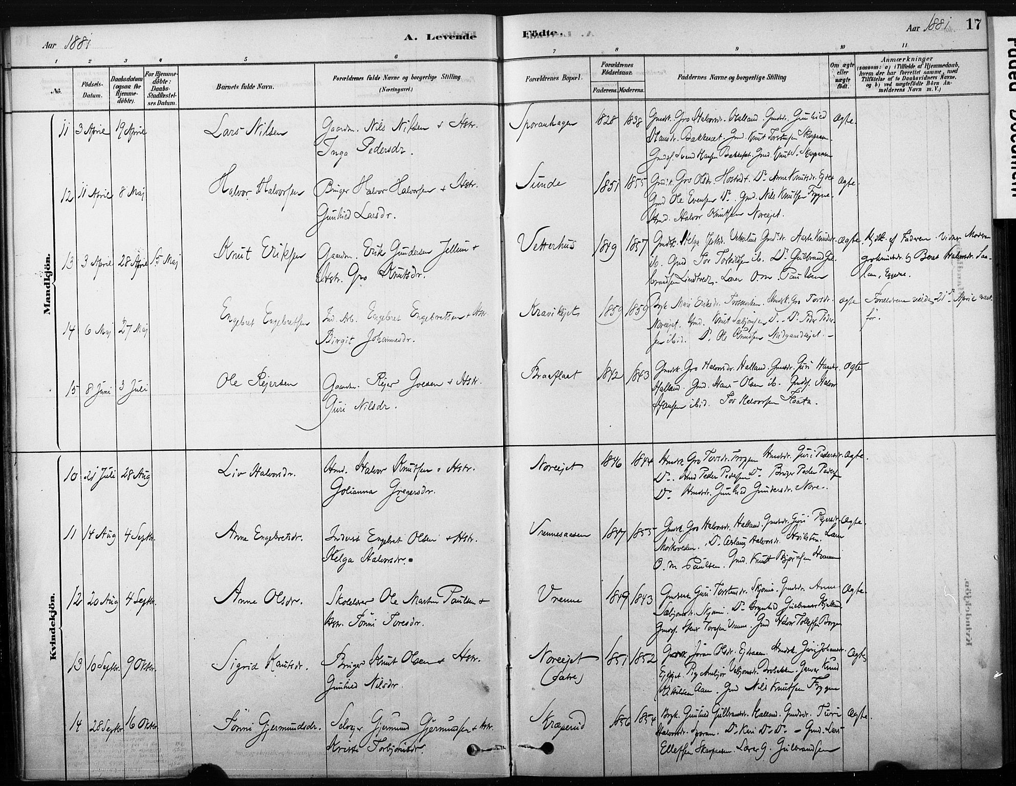 Nore kirkebøker, AV/SAKO-A-238/F/Fb/L0001: Parish register (official) no. II 1, 1878-1886, p. 17