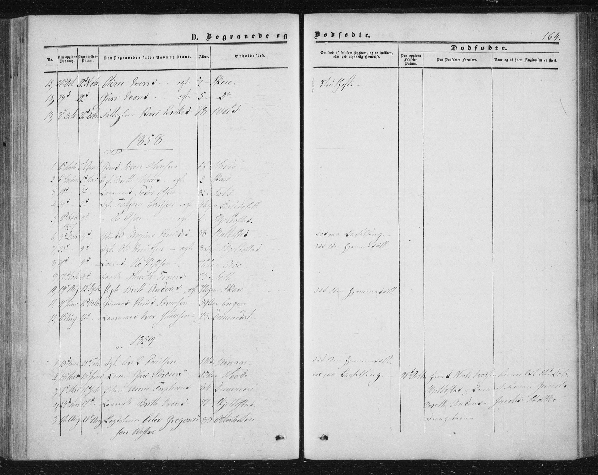 Ministerialprotokoller, klokkerbøker og fødselsregistre - Møre og Romsdal, AV/SAT-A-1454/543/L0562: Parish register (official) no. 543A02, 1854-1884, p. 164