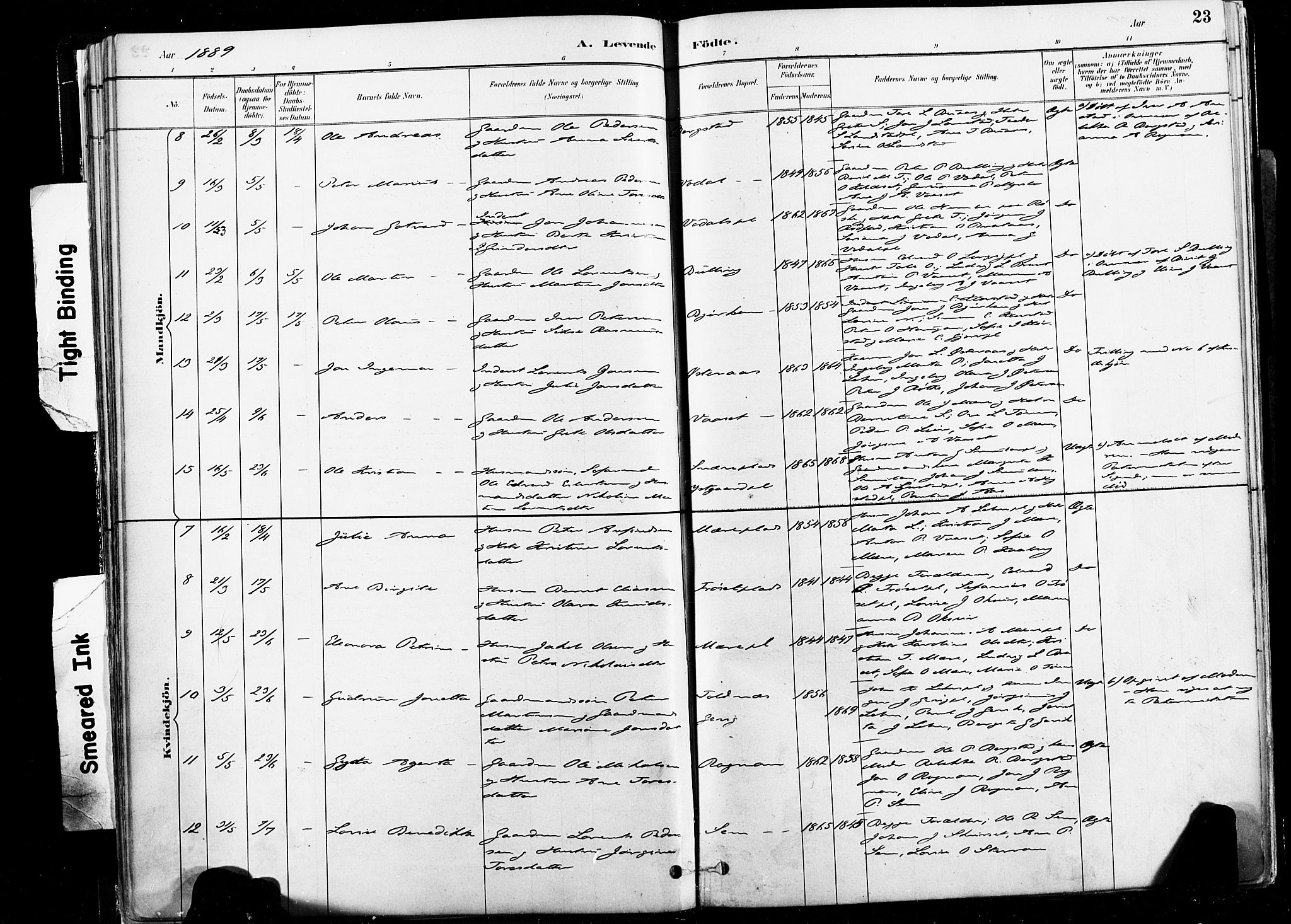 Ministerialprotokoller, klokkerbøker og fødselsregistre - Nord-Trøndelag, SAT/A-1458/735/L0351: Parish register (official) no. 735A10, 1884-1908, p. 23