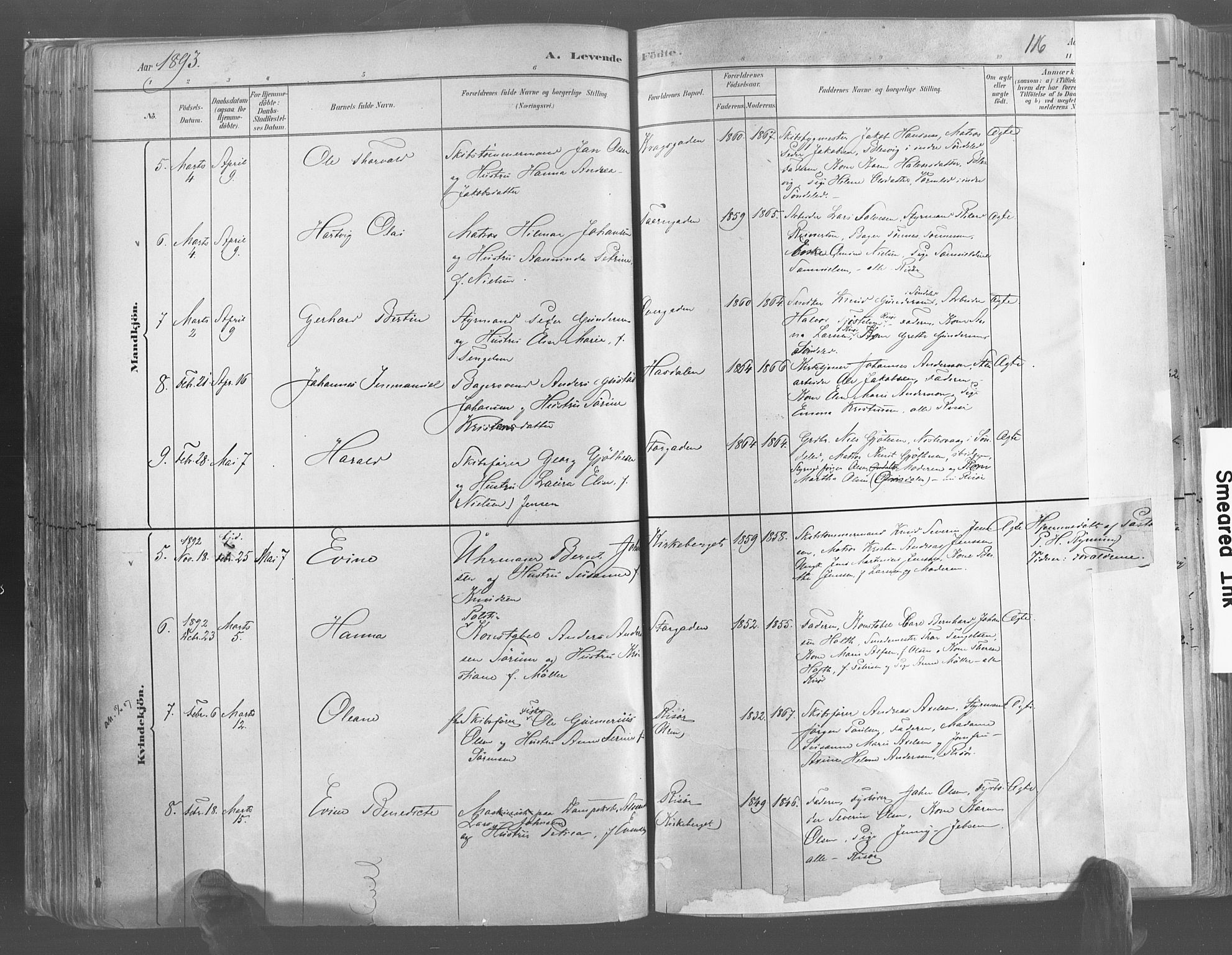 Risør sokneprestkontor, AV/SAK-1111-0035/F/Fa/L0005: Parish register (official) no. A 5, 1883-1895, p. 116