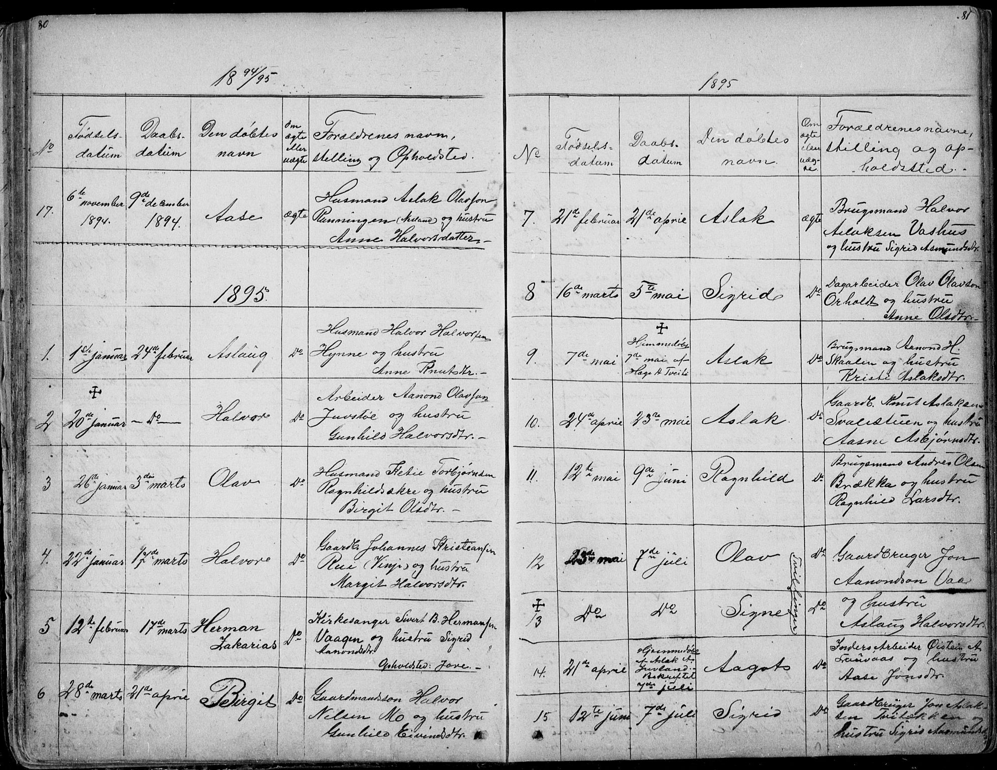 Rauland kirkebøker, SAKO/A-292/G/Ga/L0002: Parish register (copy) no. I 2, 1849-1935, p. 80-81