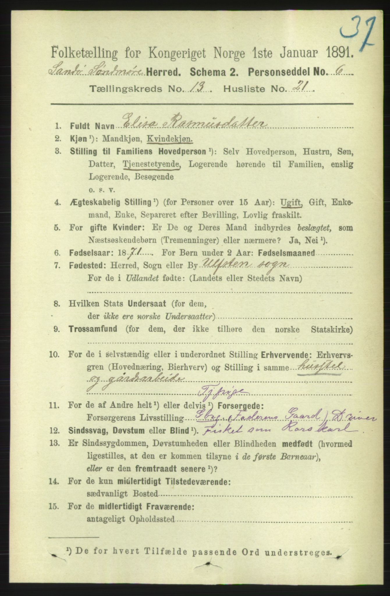 RA, 1891 census for 1514 Sande, 1891, p. 2593