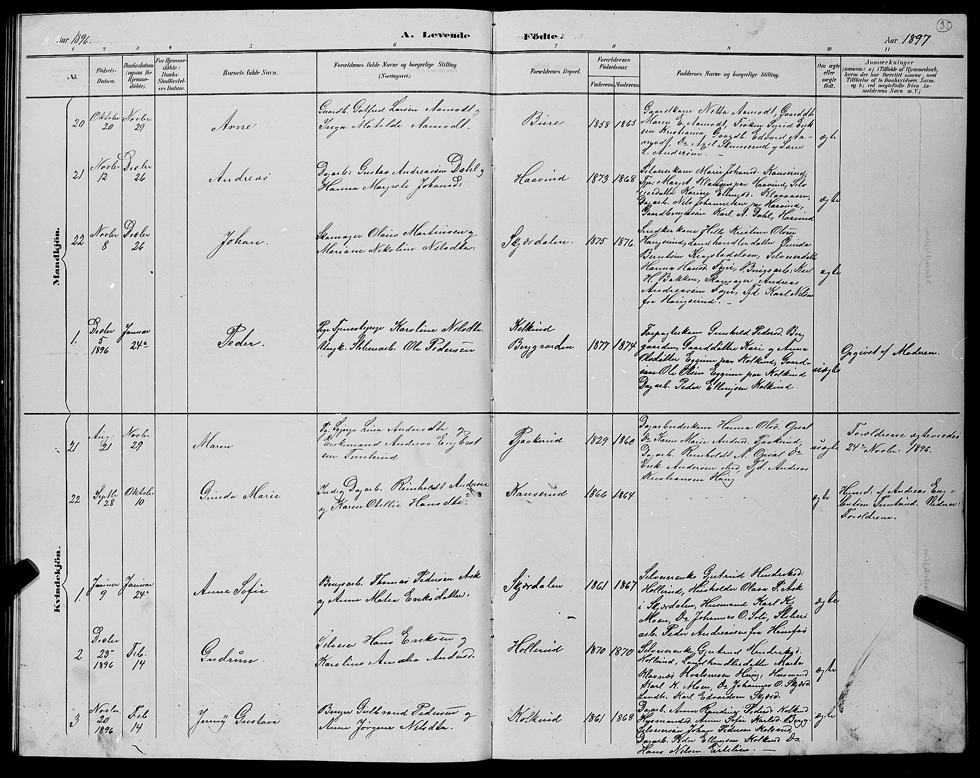 Hole kirkebøker, AV/SAKO-A-228/G/Gb/L0003: Parish register (copy) no. II 3, 1890-1901, p. 35