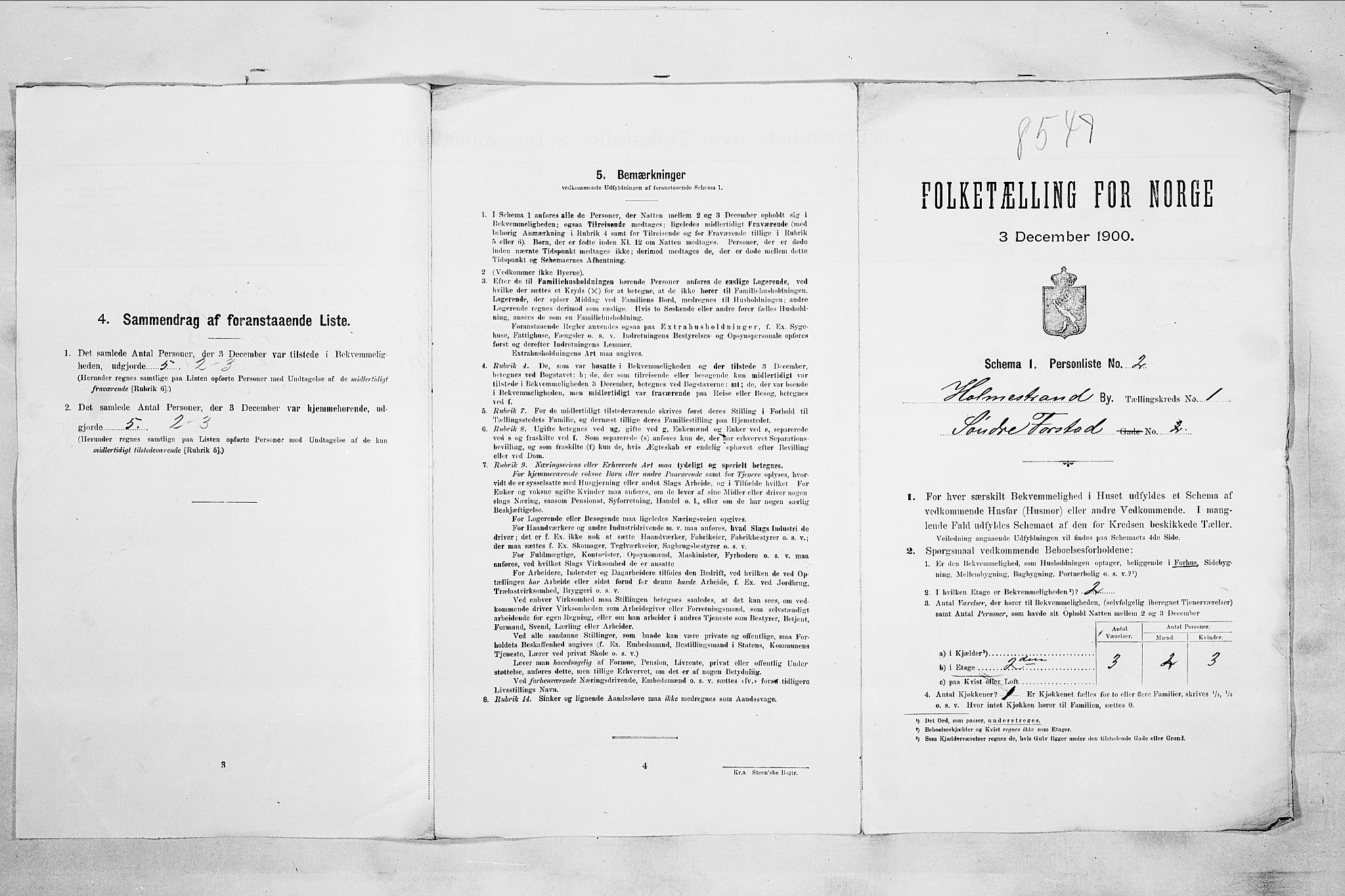 RA, 1900 census for Holmestrand, 1900, p. 206