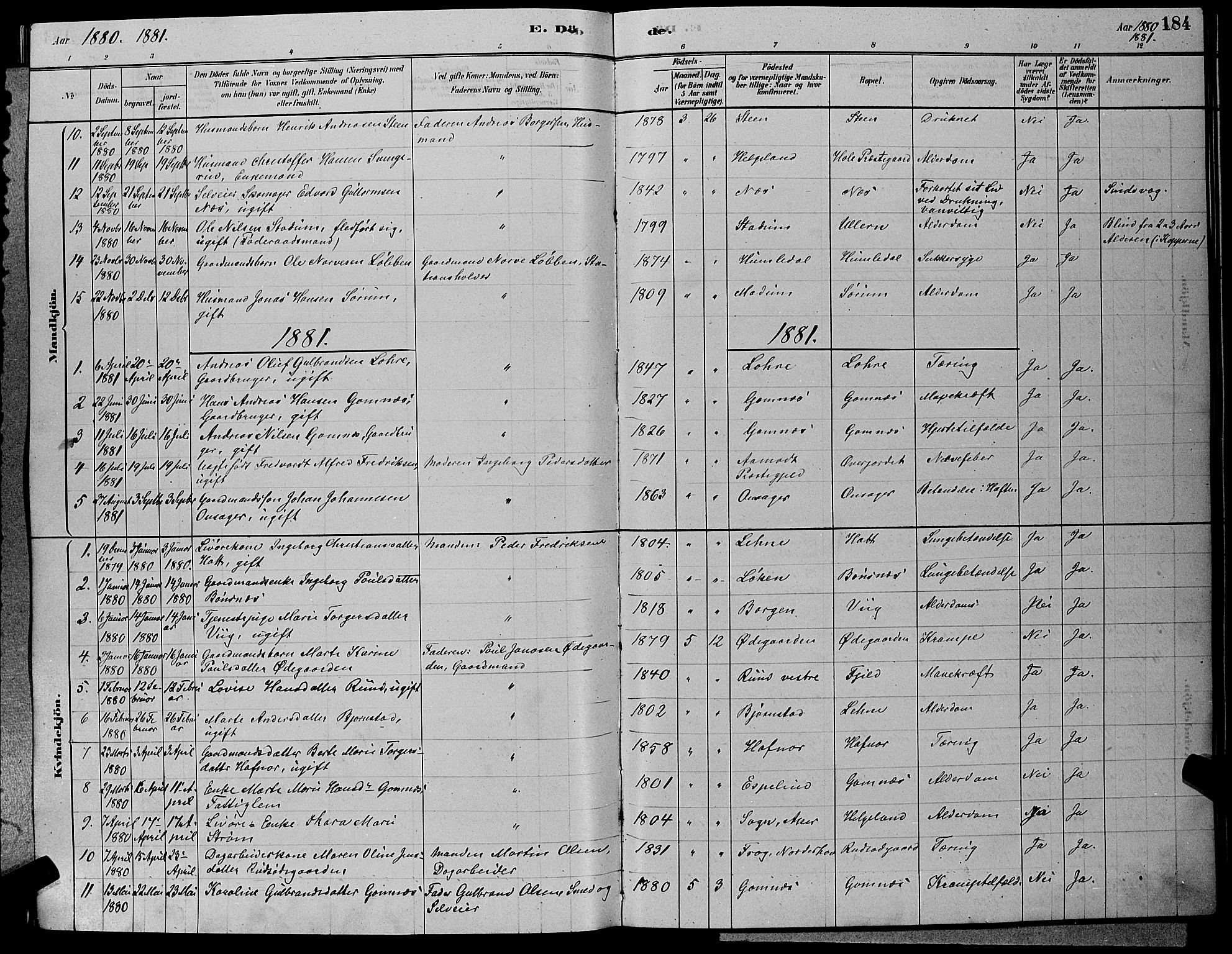 Hole kirkebøker, SAKO/A-228/G/Ga/L0003: Parish register (copy) no. I 3, 1879-1904, p. 184