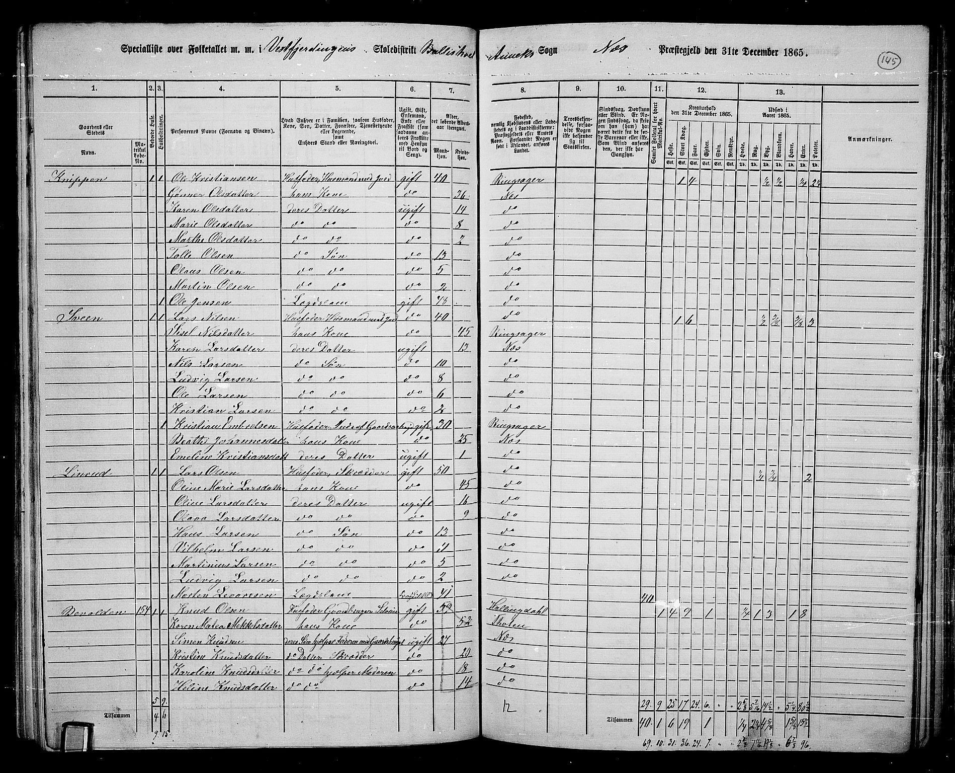 RA, 1865 census for Nes, 1865, p. 125