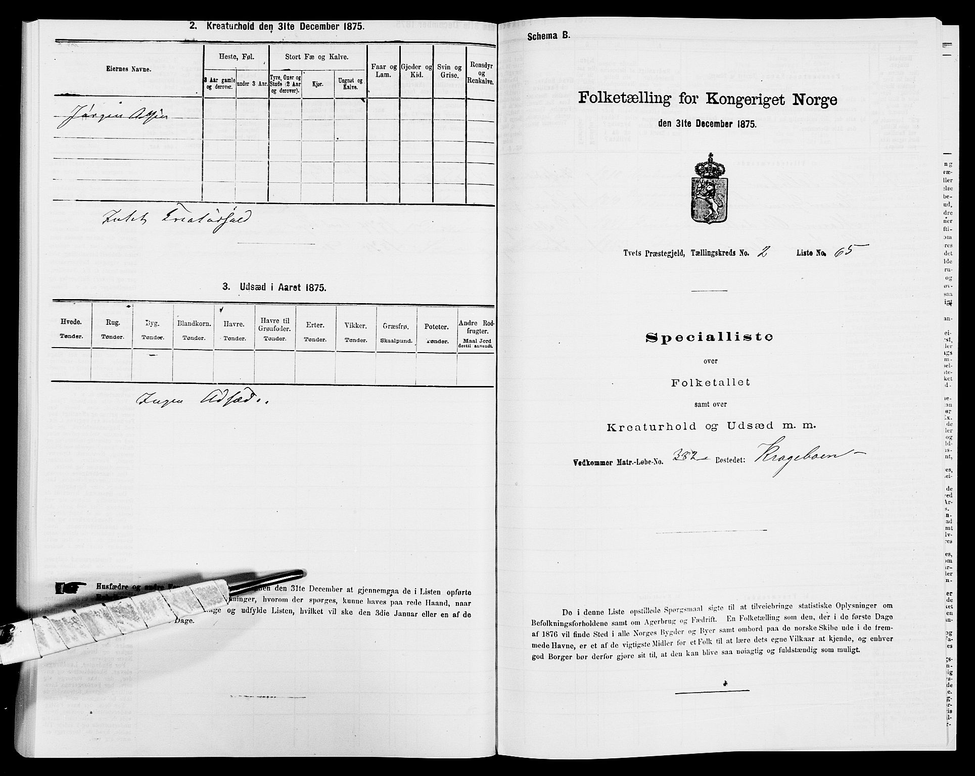 SAK, 1875 census for 1013P Tveit, 1875, p. 303