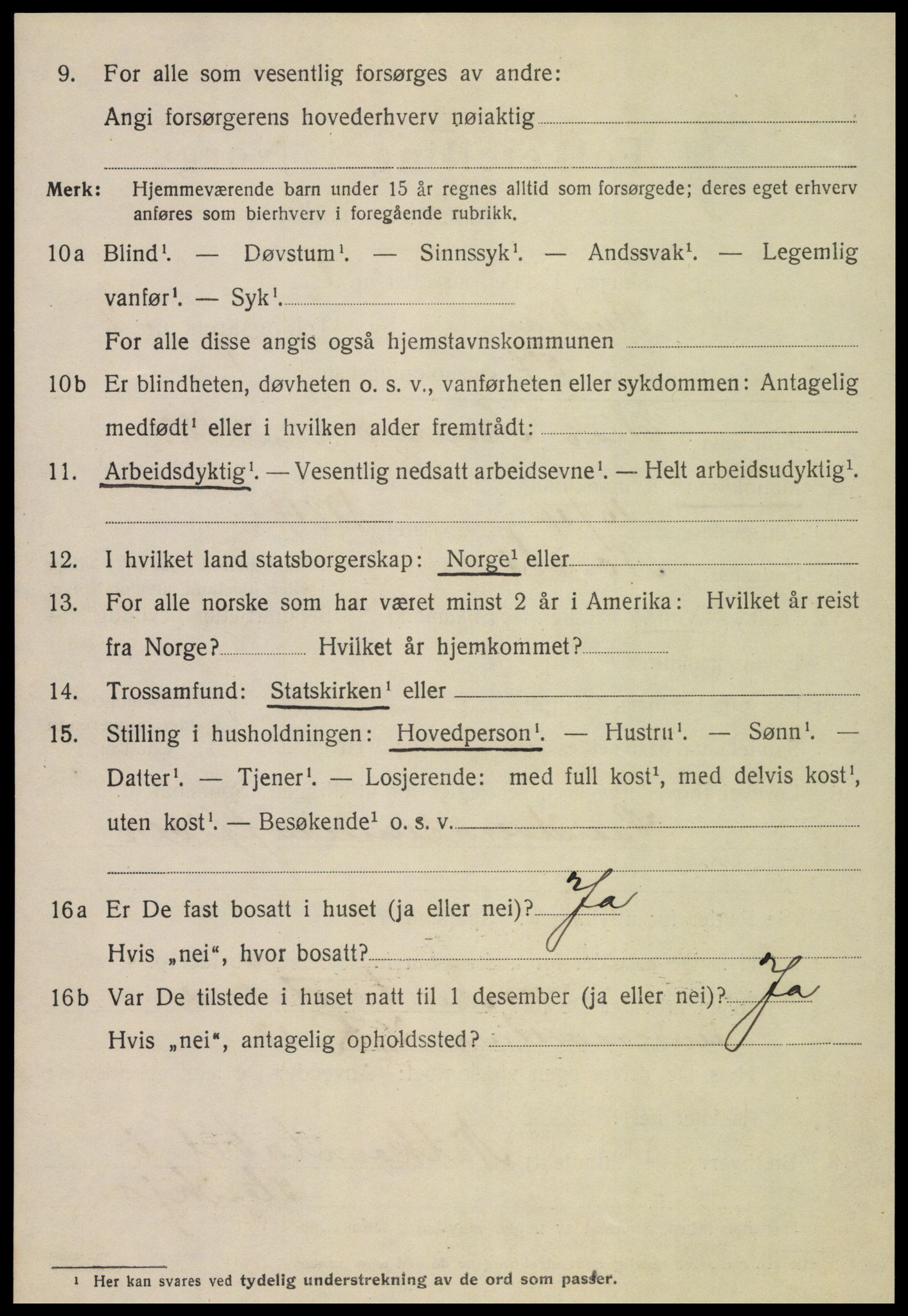 SAT, 1920 census for Steinkjer, 1920, p. 5329