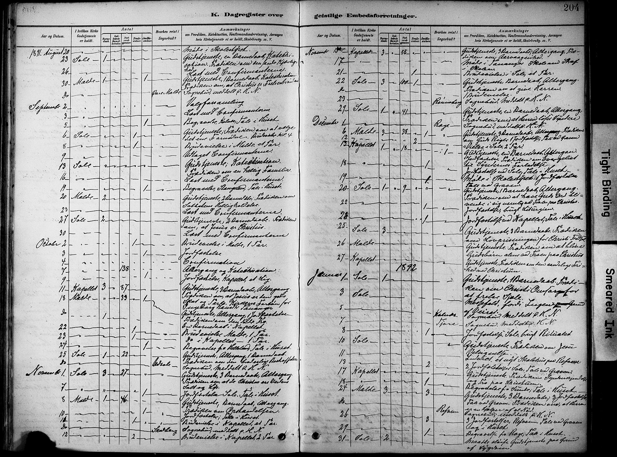 Håland sokneprestkontor, SAST/A-101802/001/30BA/L0012: Parish register (official) no. A 11, 1889-1900, p. 204