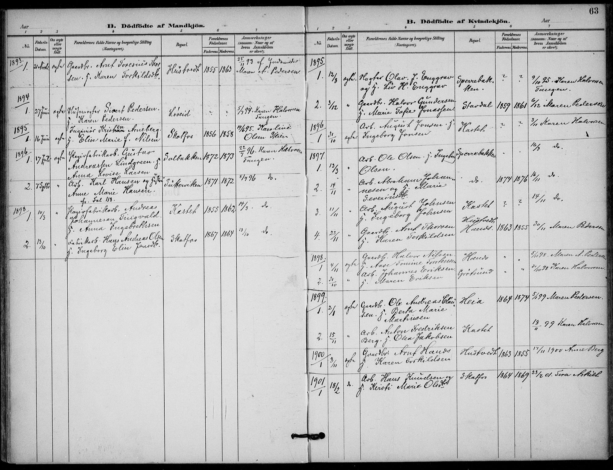 Solum kirkebøker, SAKO/A-306/F/Fb/L0002: Parish register (official) no. II 2, 1893-1901, p. 63