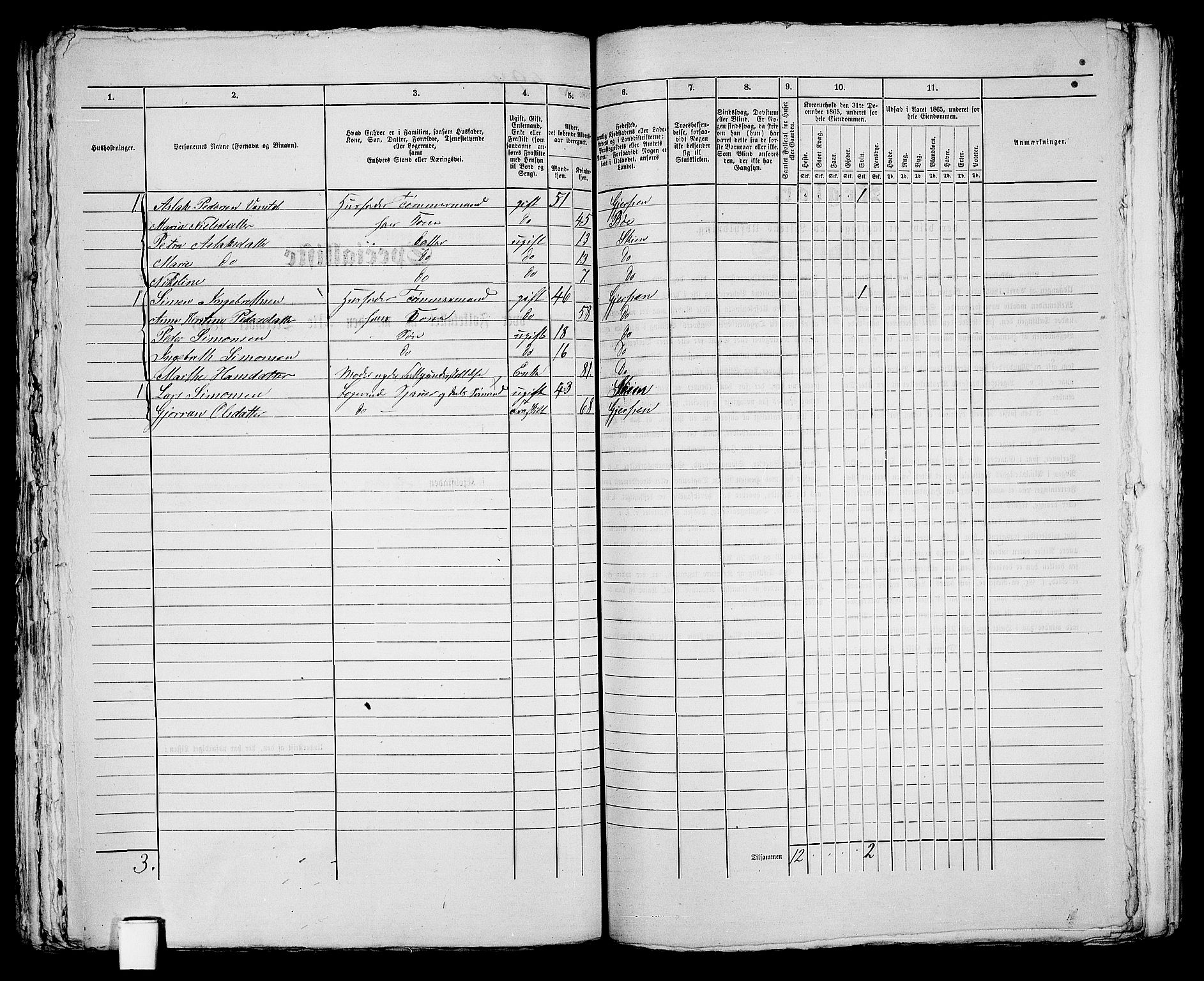 RA, 1865 census for Skien, 1865, p. 1024