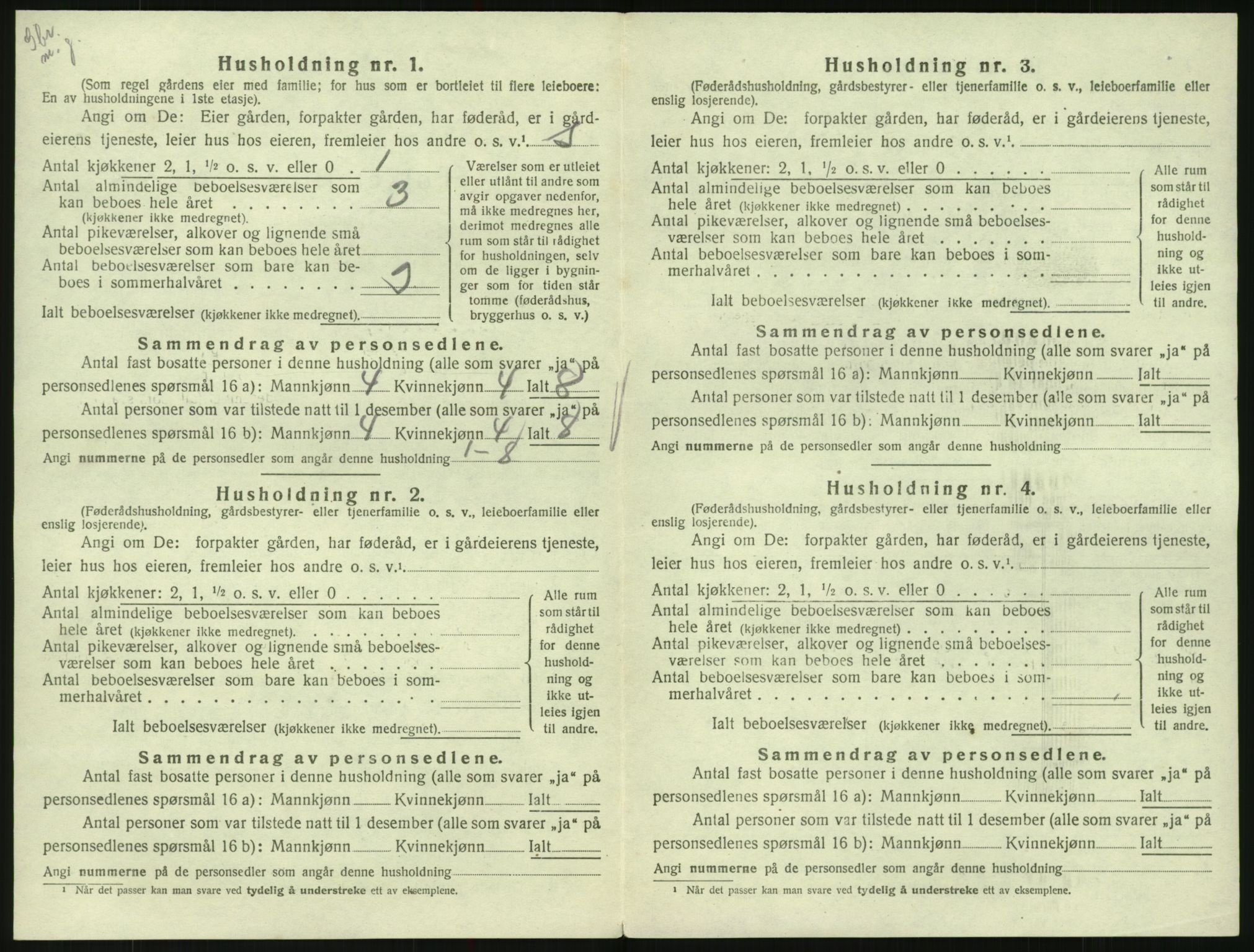 SAK, 1920 census for Hornnes, 1920, p. 516