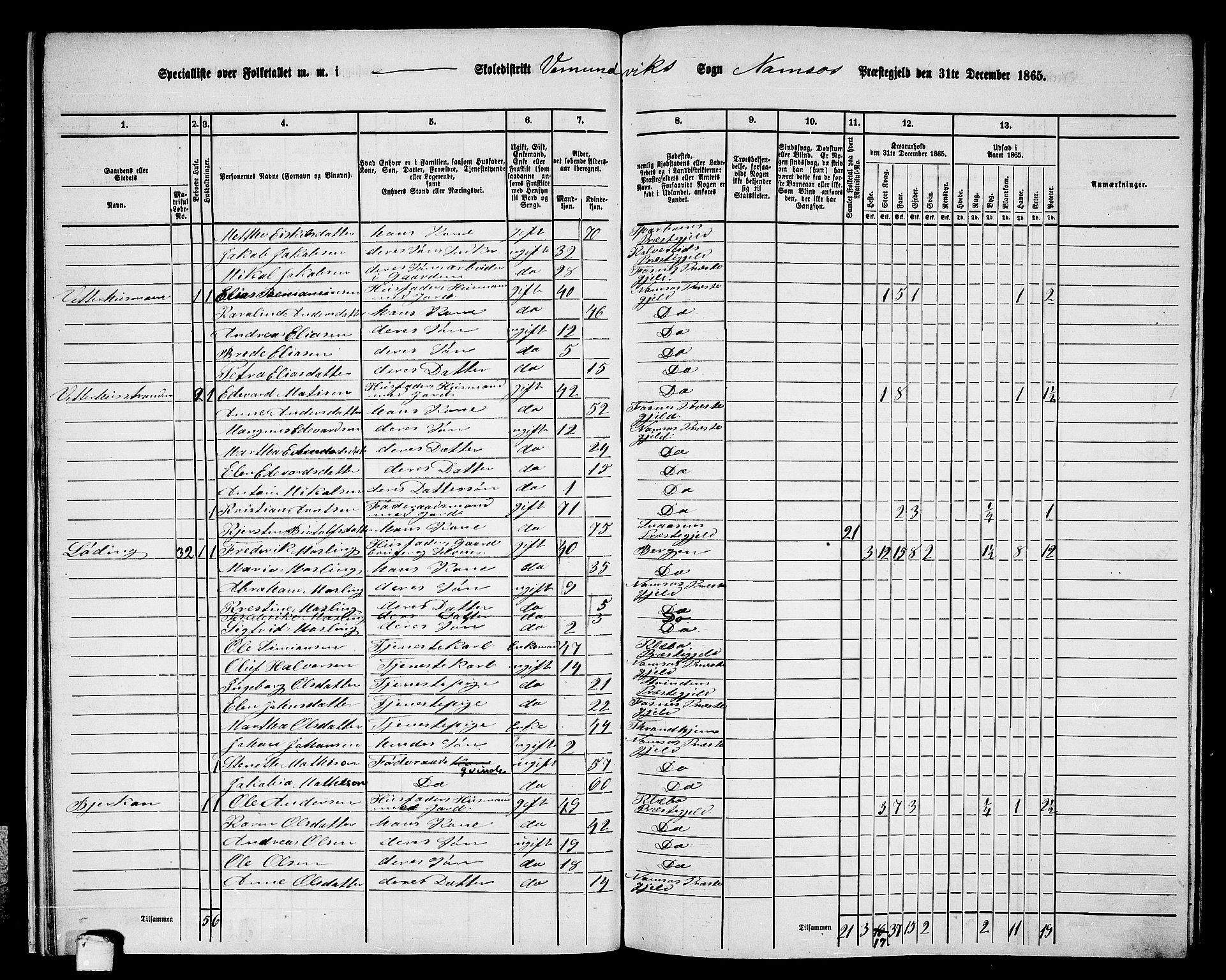 RA, 1865 census for Namsos/Vemundvik og Sævik, 1865, p. 18